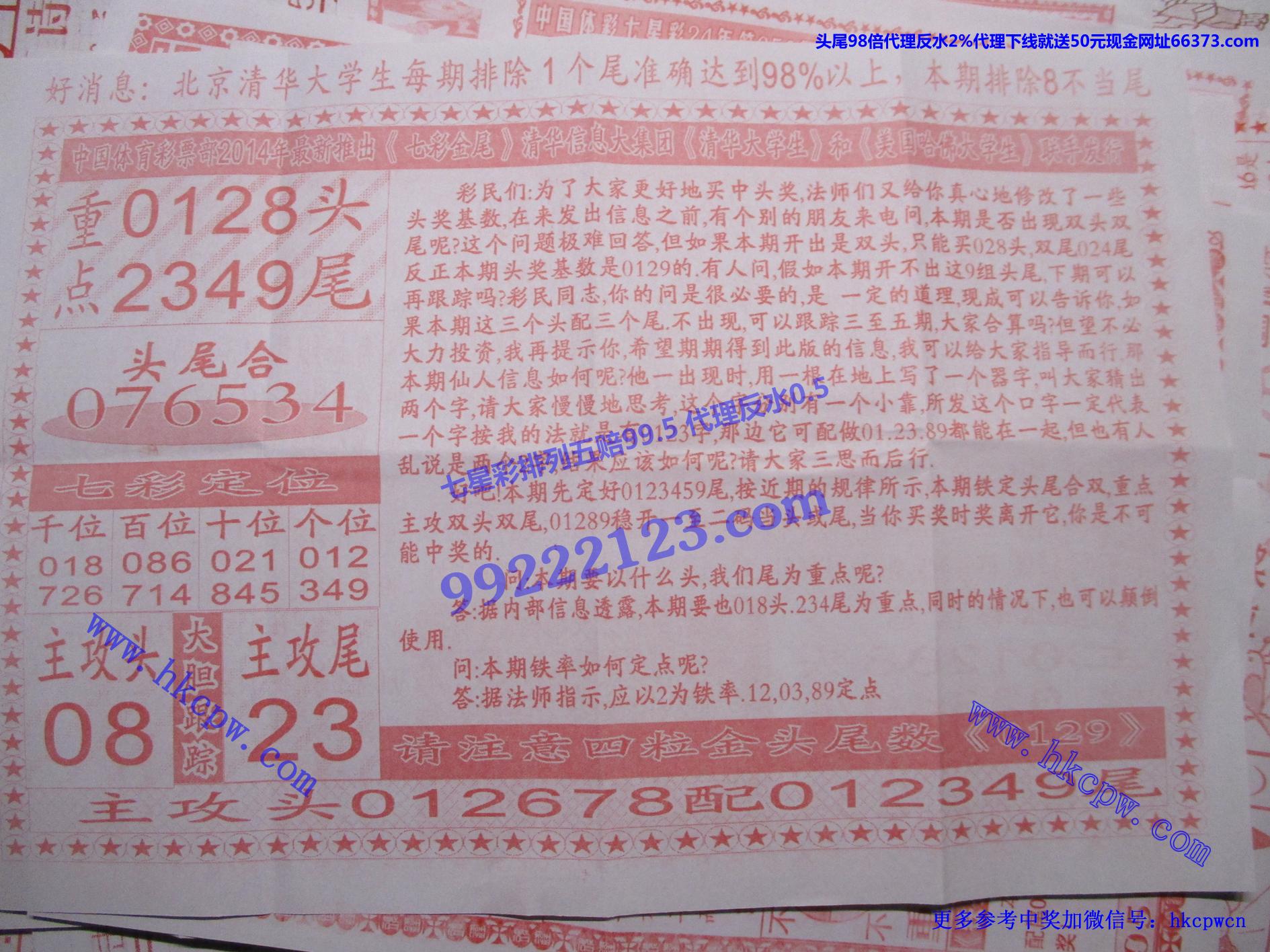 七彩金尾B.jpg