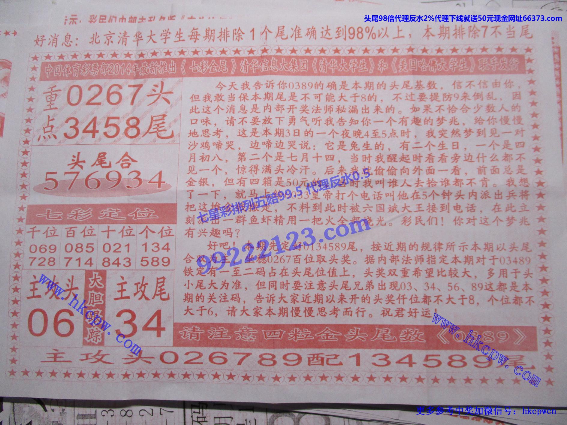 七彩金尾B.jpg