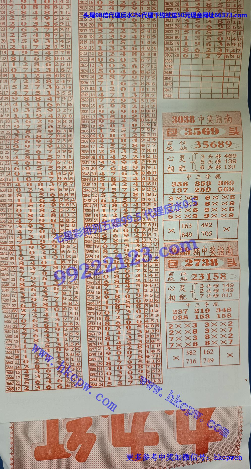九九红 (2).jpg