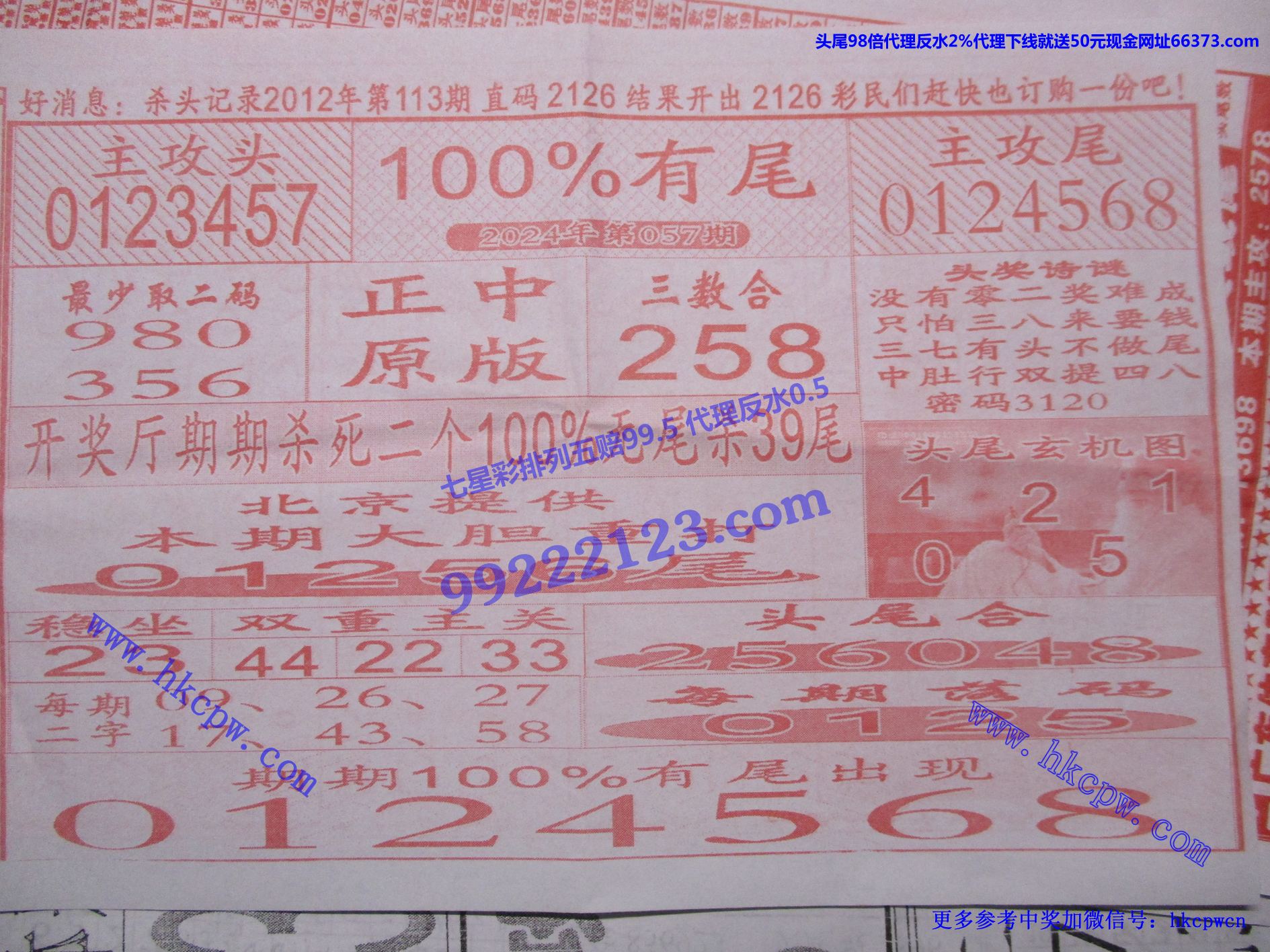 100有尾.jpg