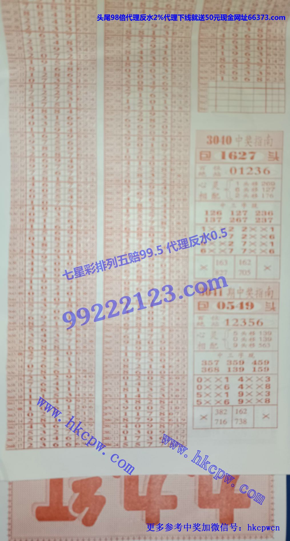 九九红 (2).jpg