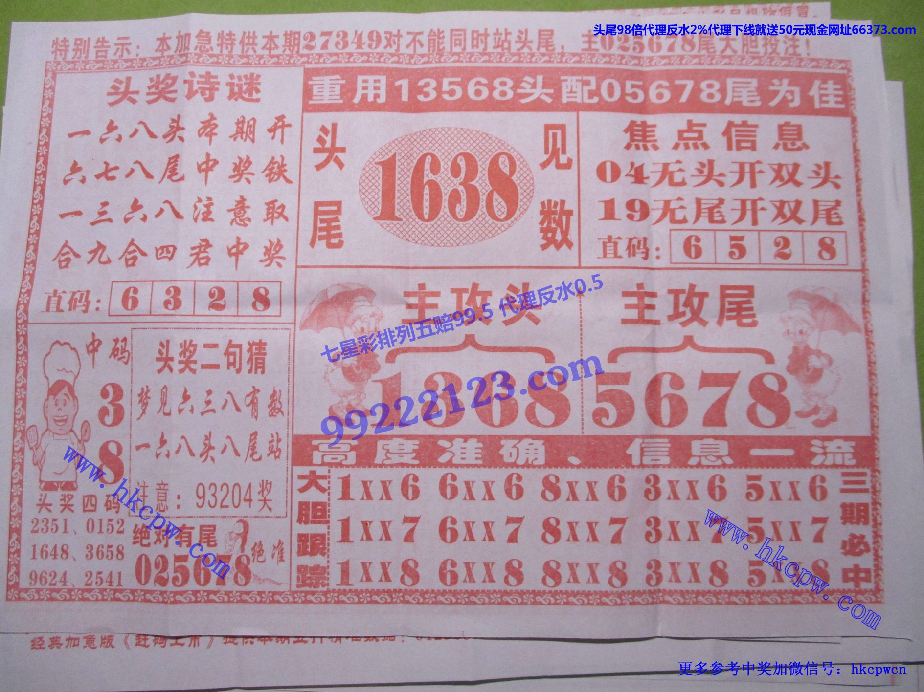 九尾狐狸B.jpg