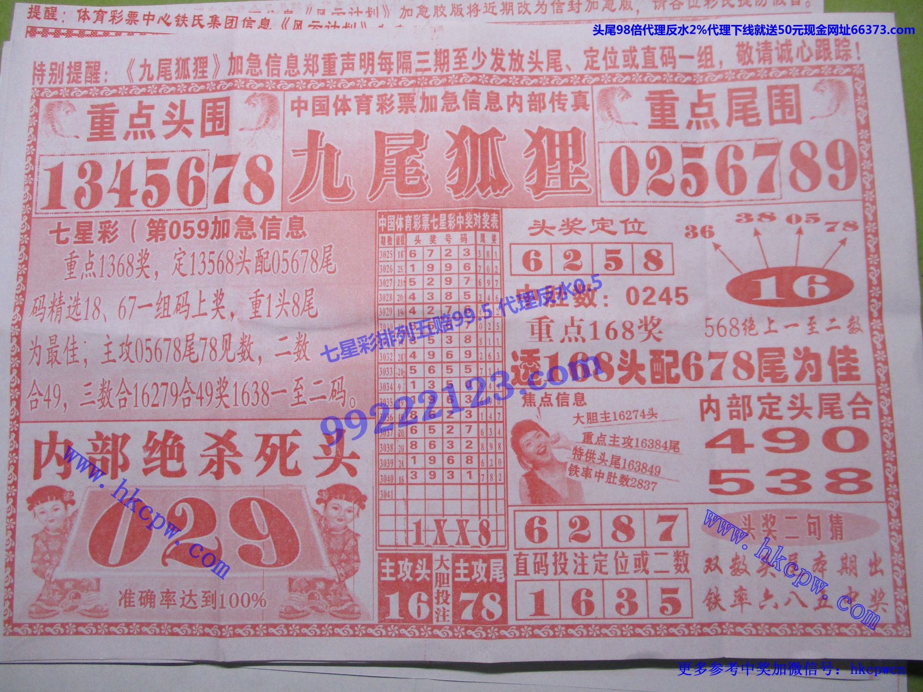 九尾狐狸.jpg