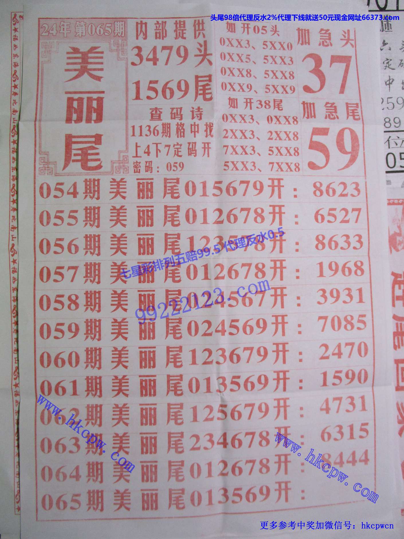 美丽尾B.jpg
