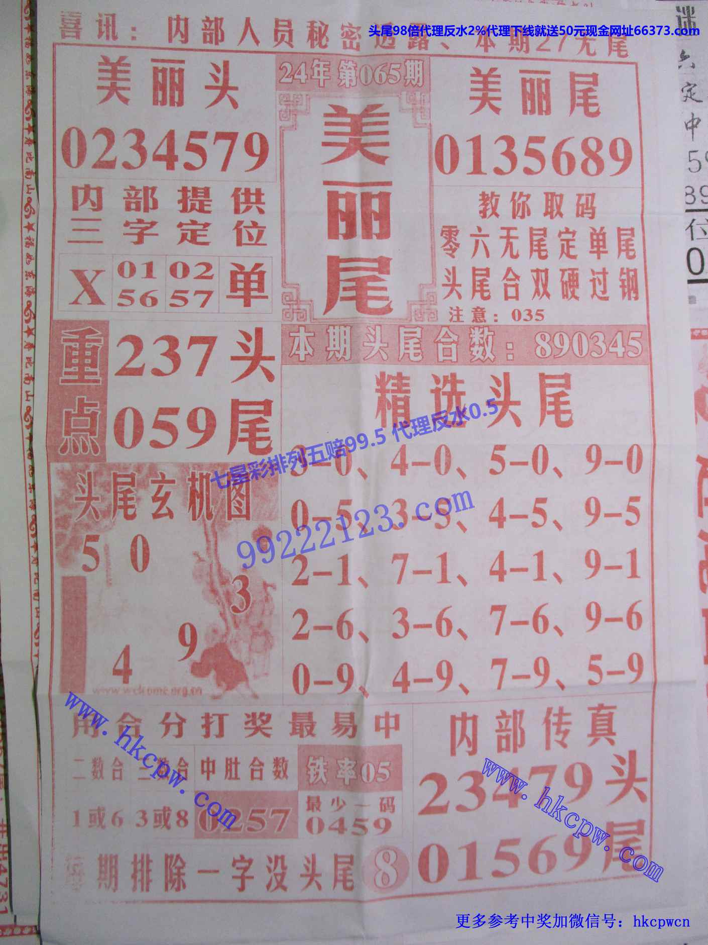 美丽尾.jpg