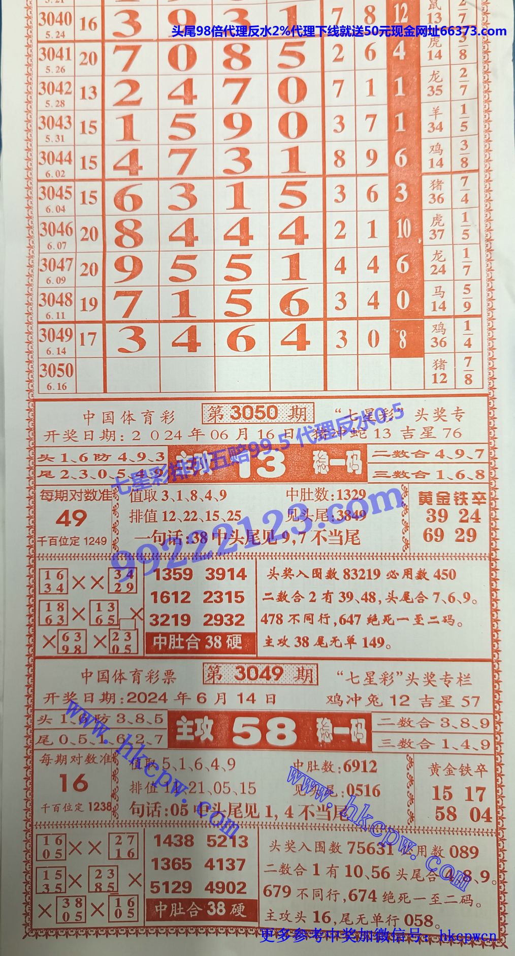 九九红 (1).jpg