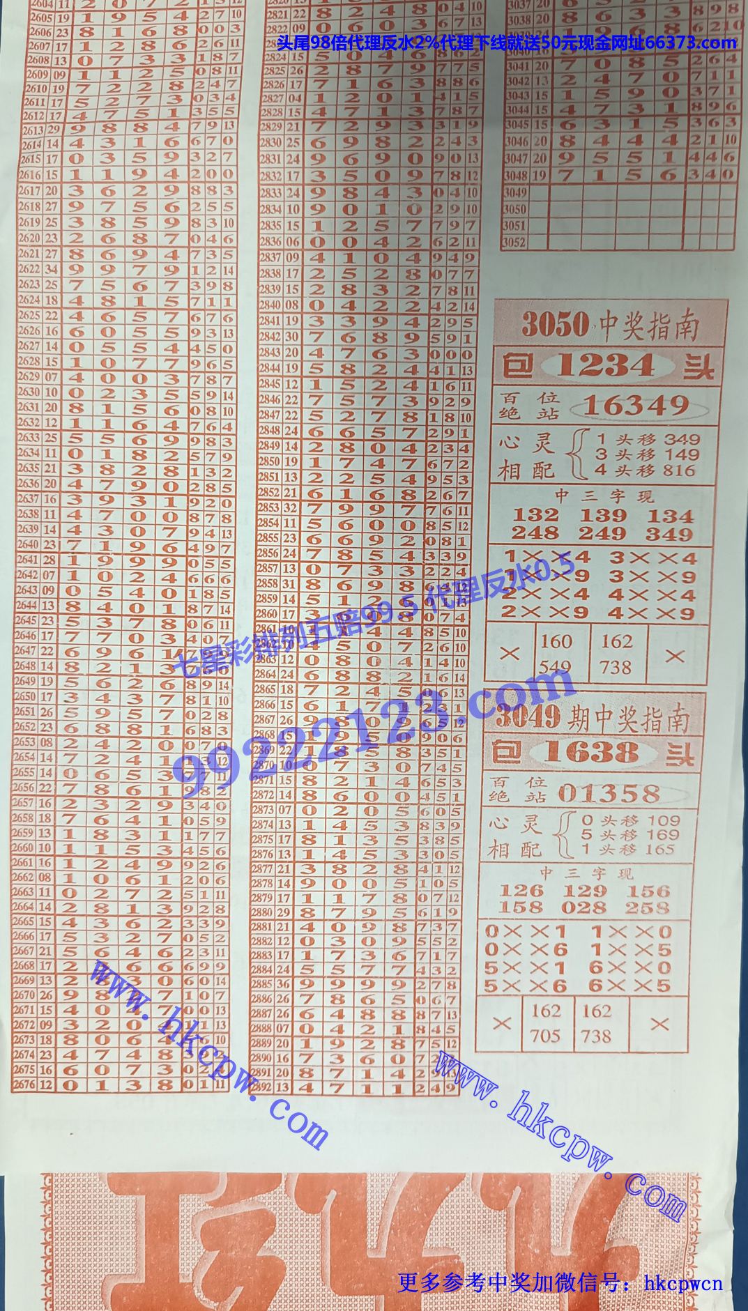 九九红 (2).jpg