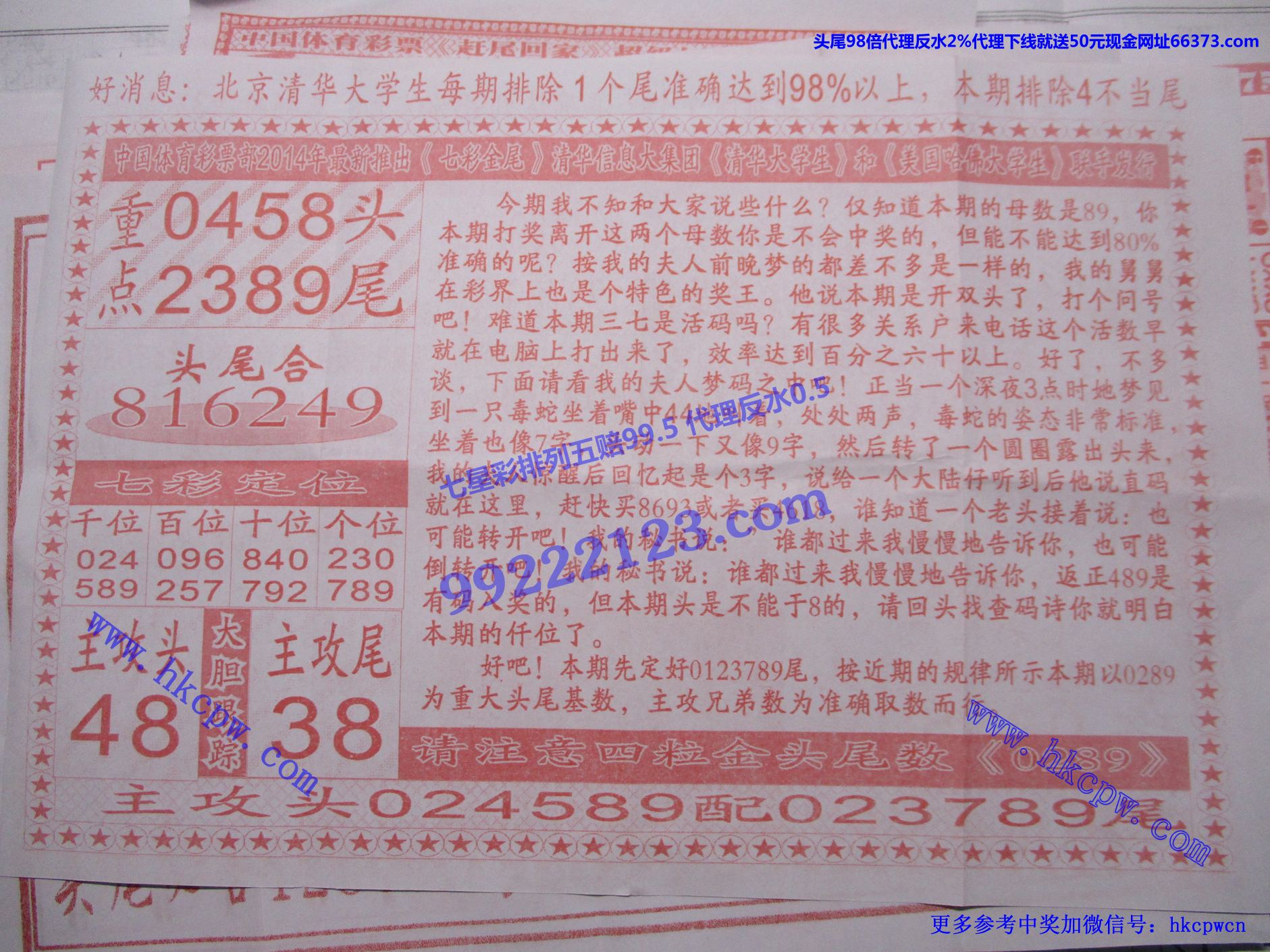七彩金尾B.jpg