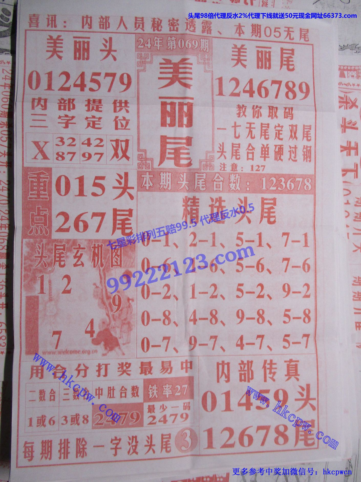 美丽尾.jpg