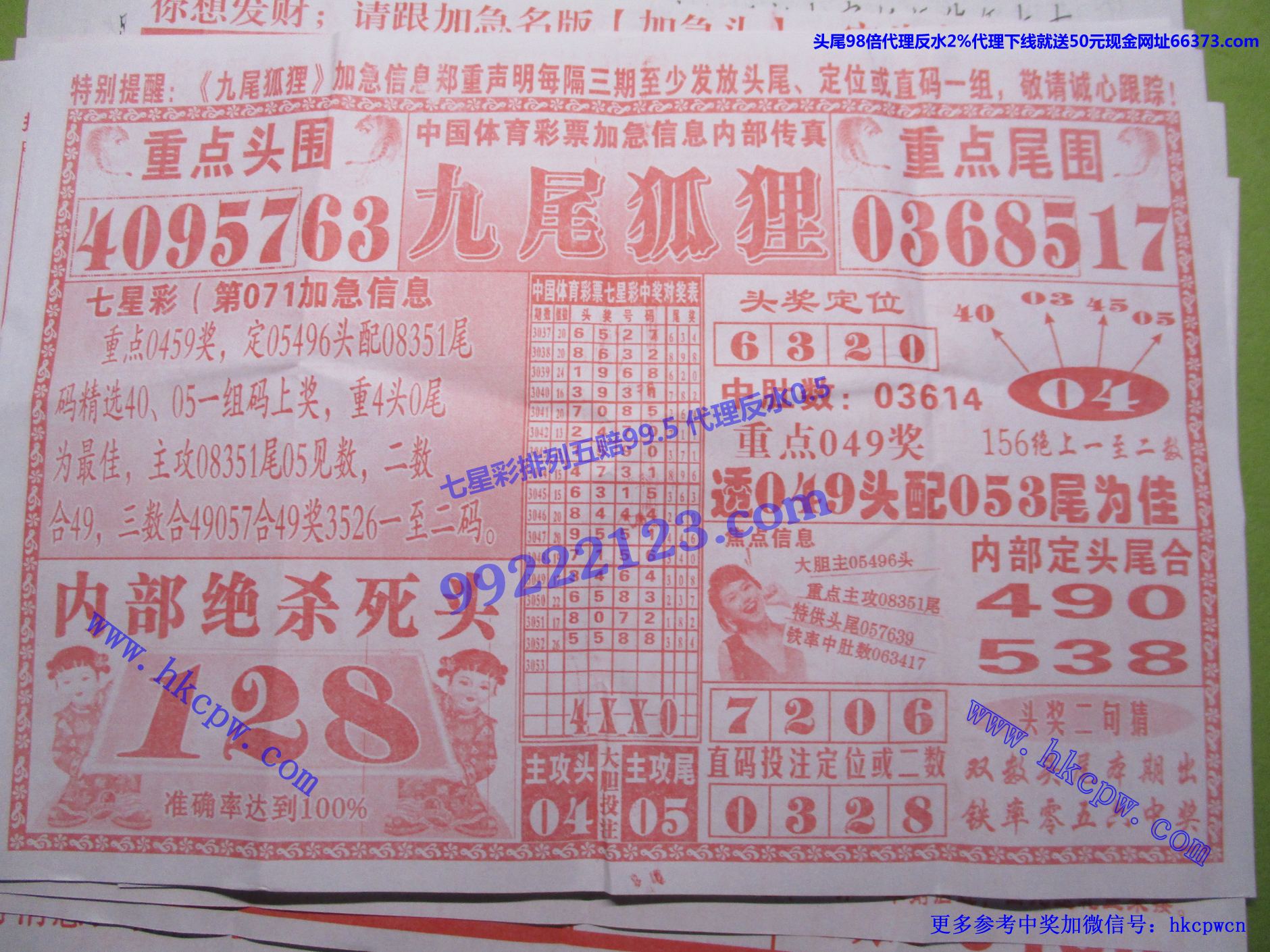 九尾狐狸.jpg