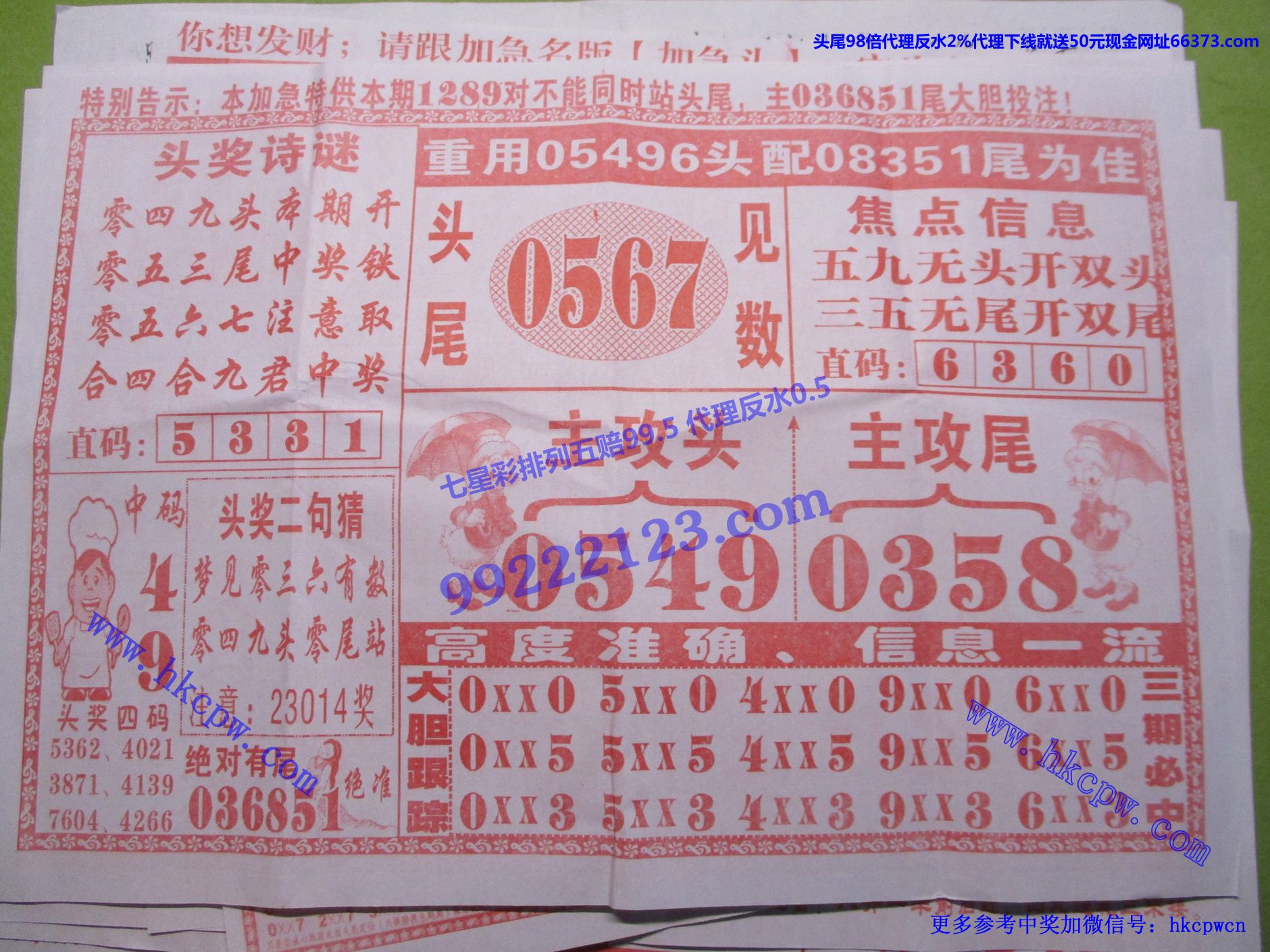 九尾狐狸B.jpg