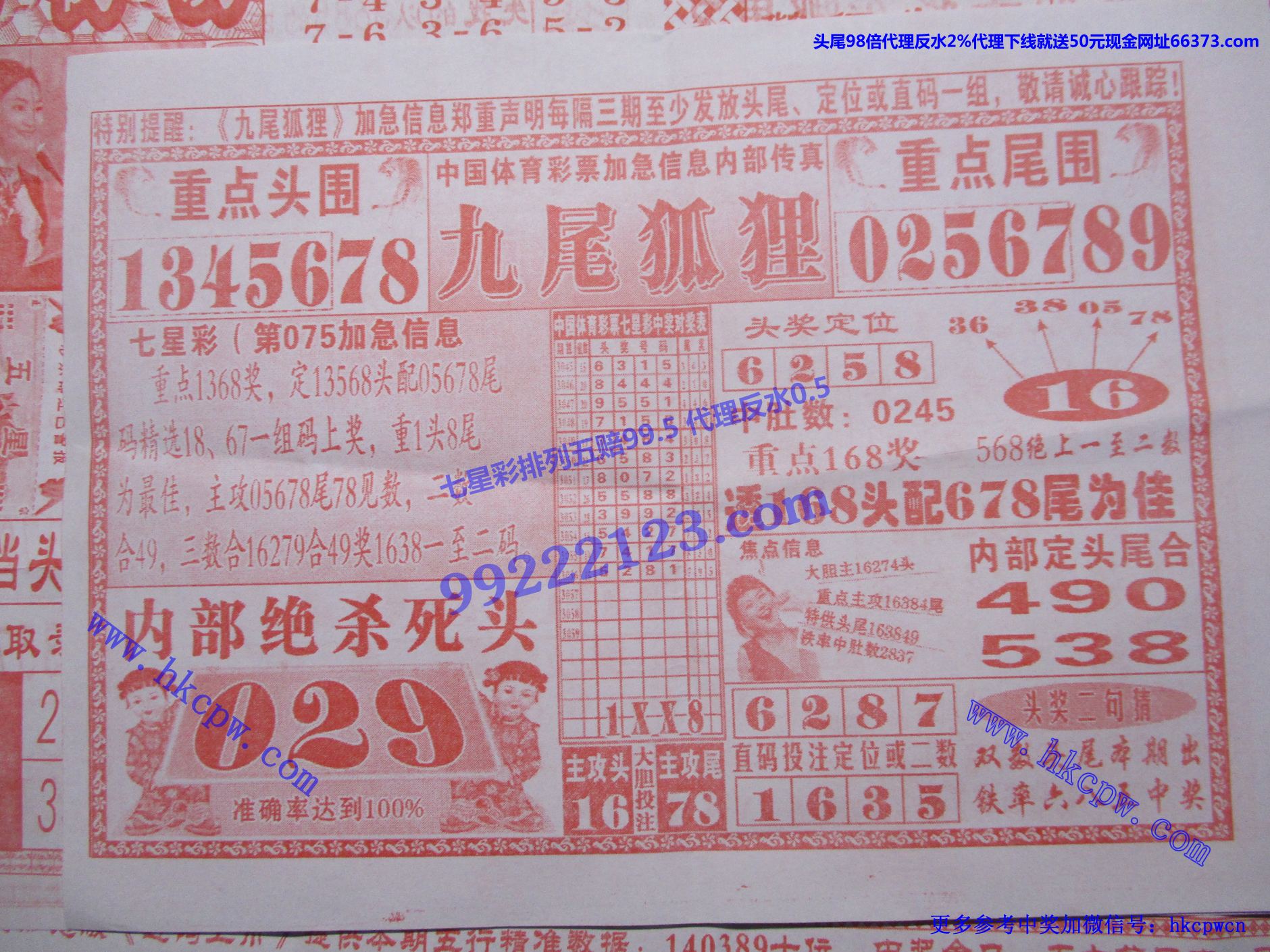 九尾狐狸.jpg