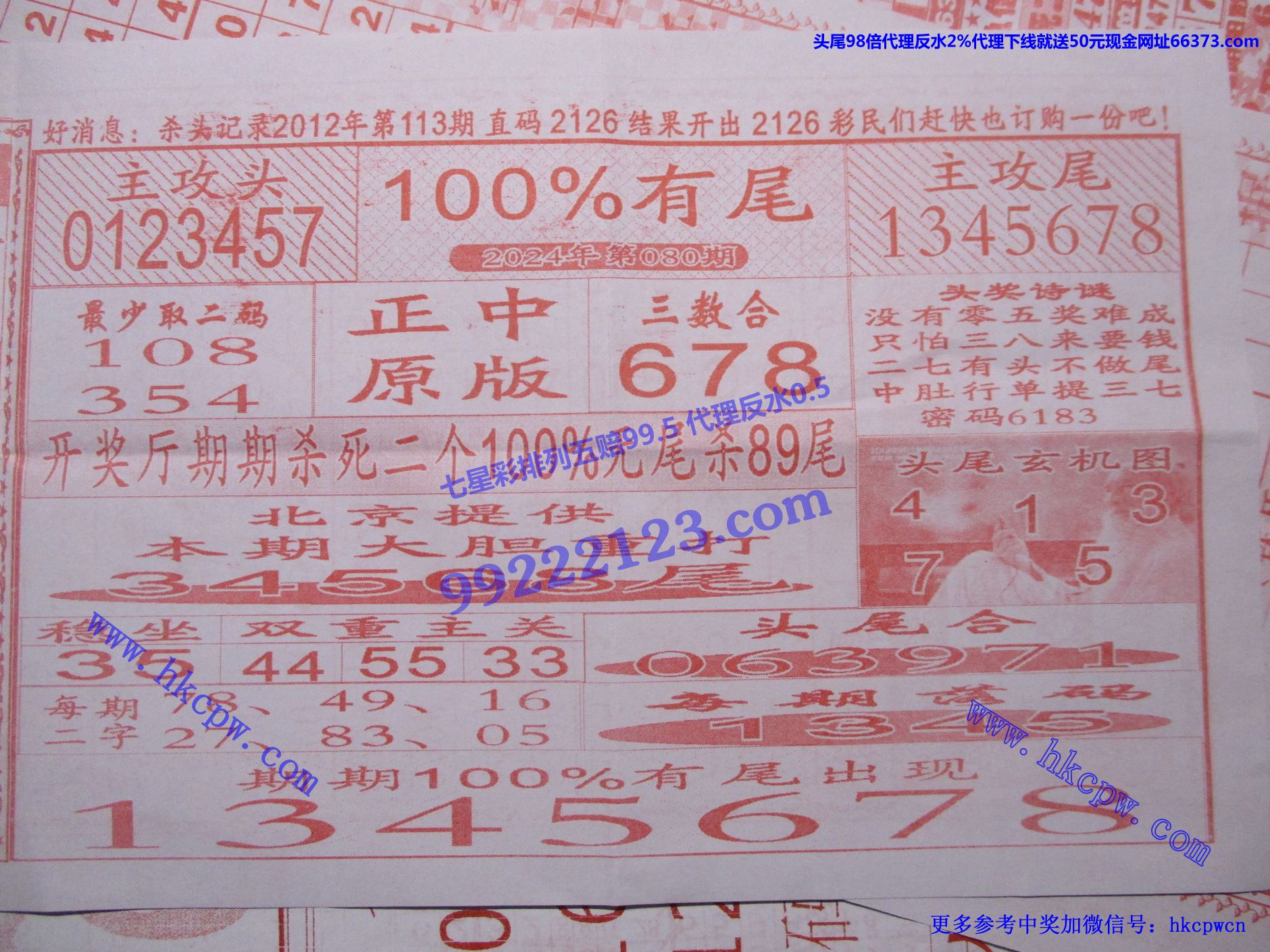 100有尾.jpg