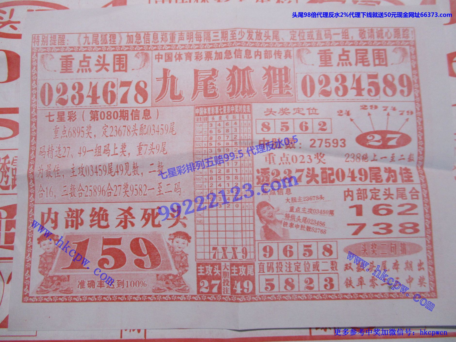 九尾狐狸.jpg