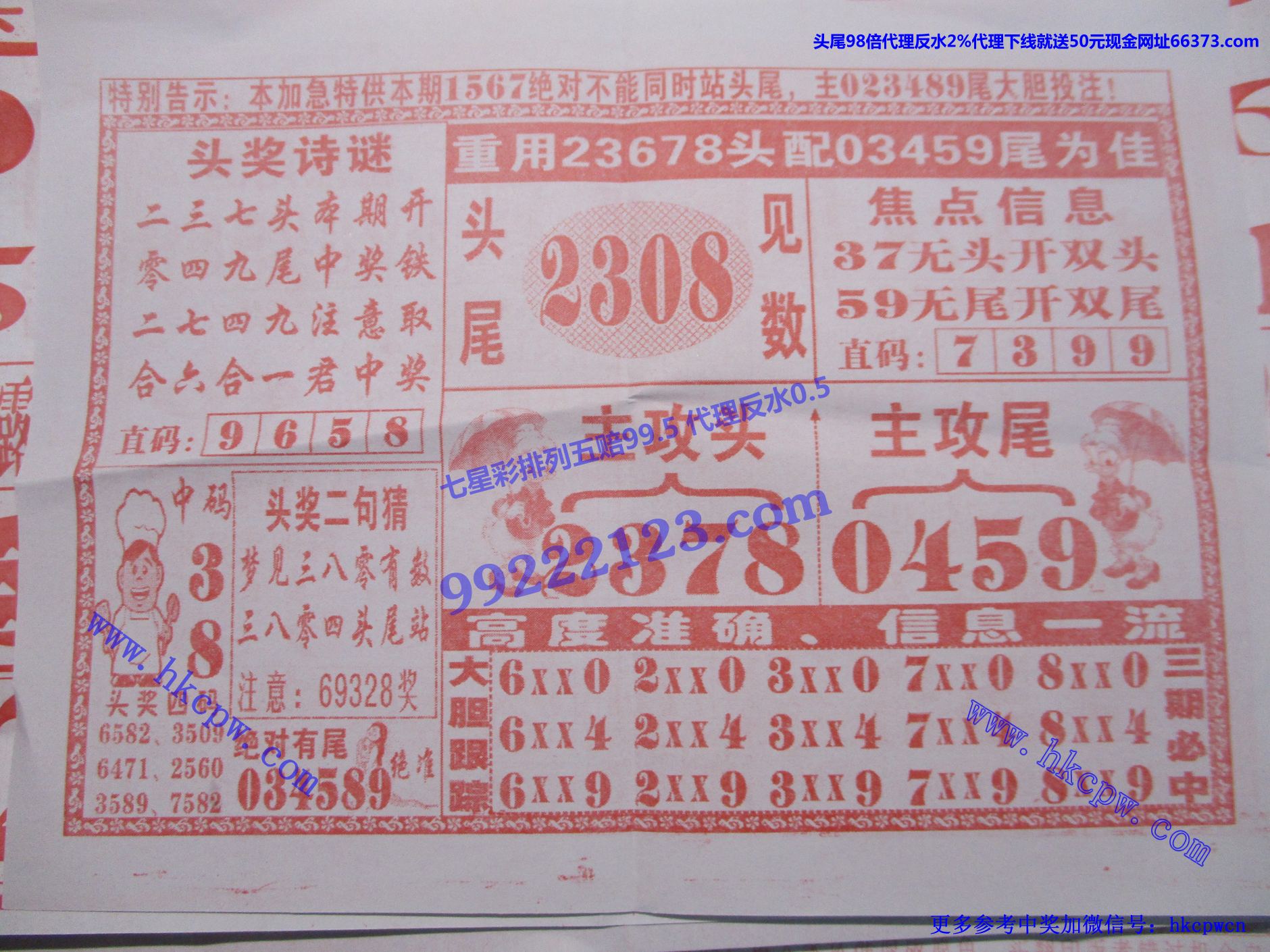 九尾狐狸B.jpg