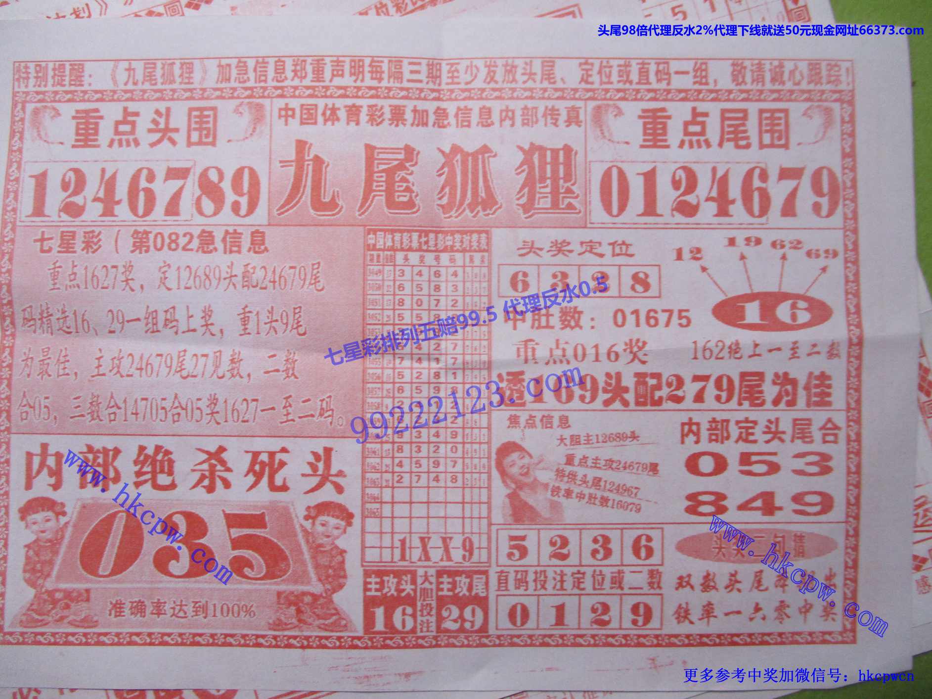 九尾狐狸.jpg
