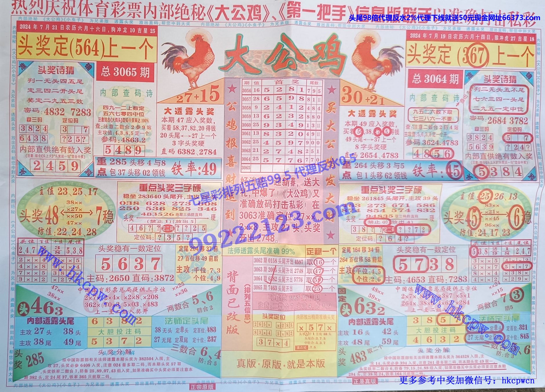 大公鸡.jpg