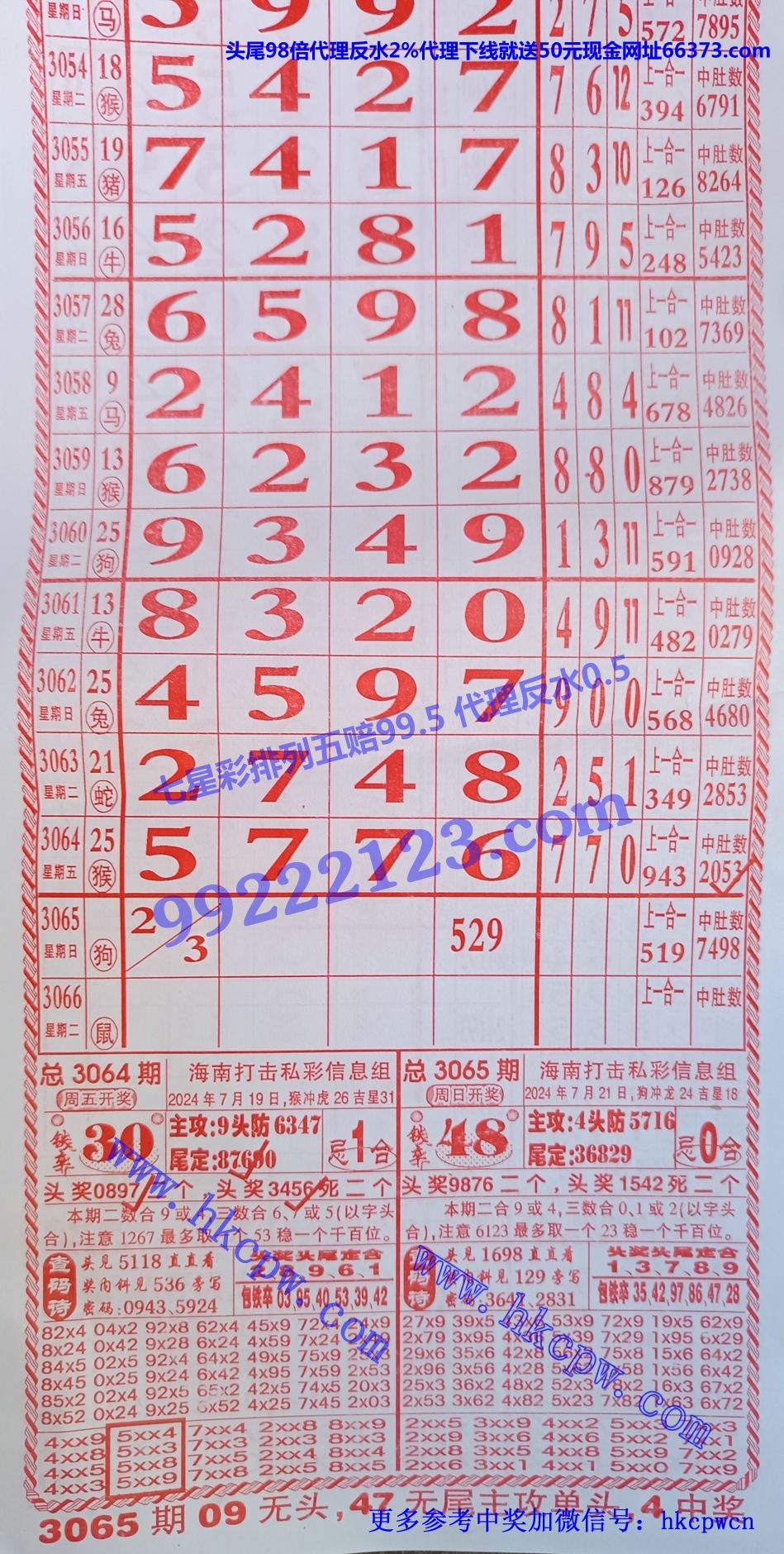 定码王 (1).jpg