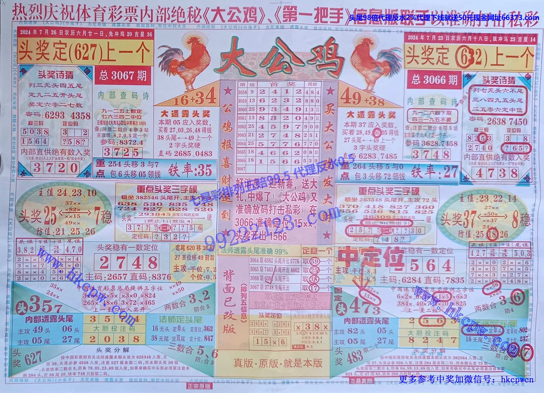 大公鸡.jpg