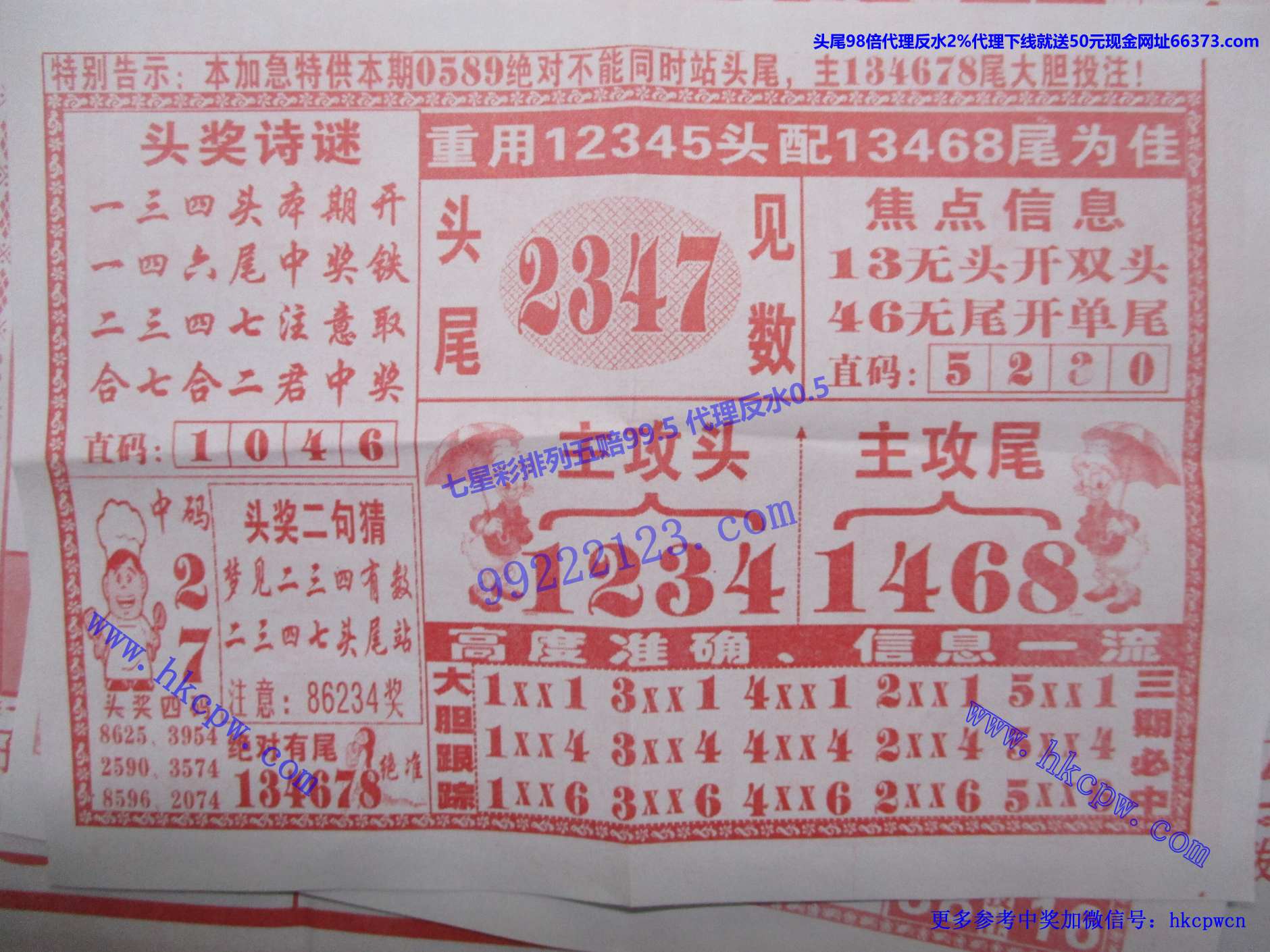 九尾狐狸B.jpg