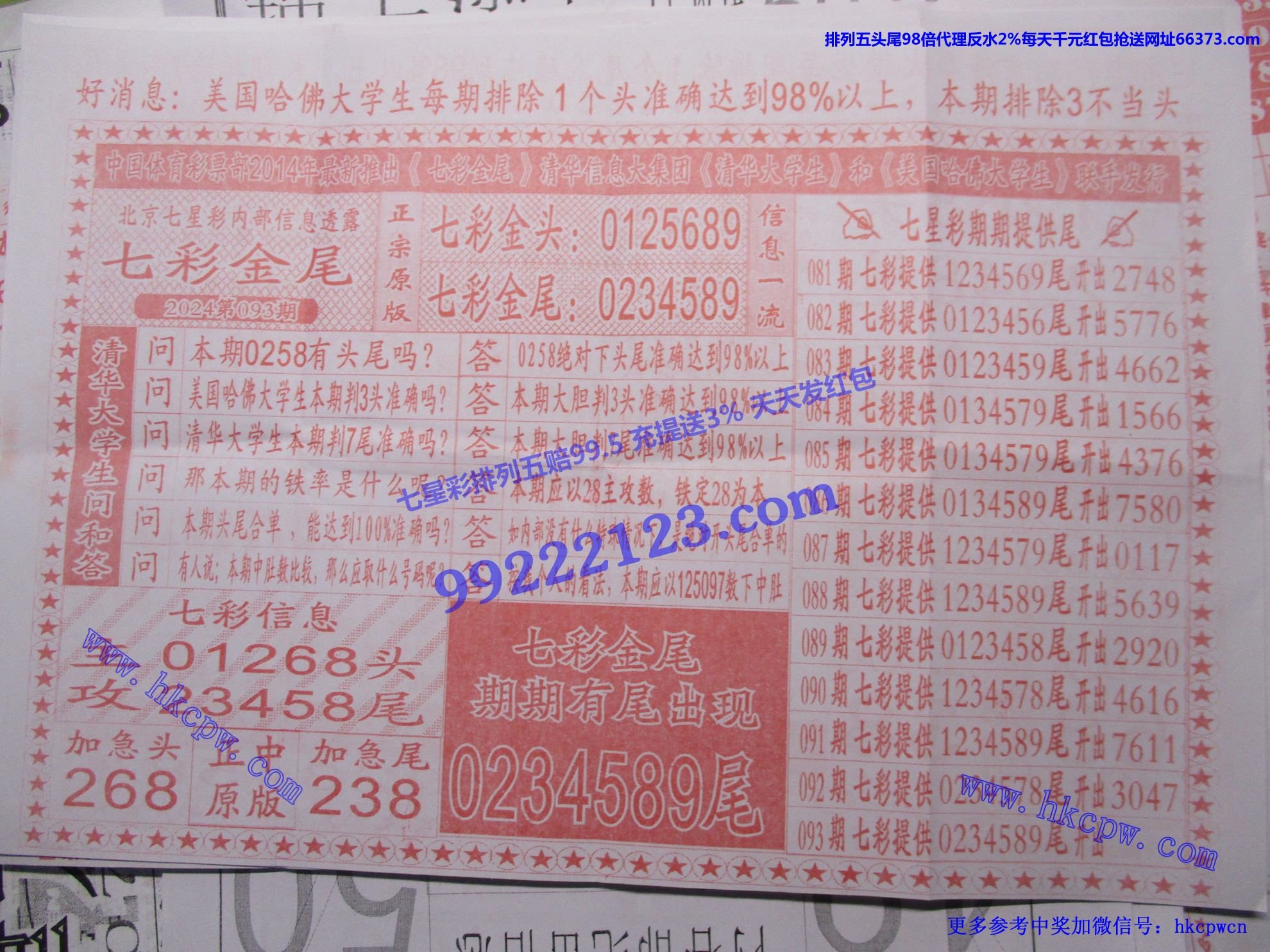 七彩金尾.jpg