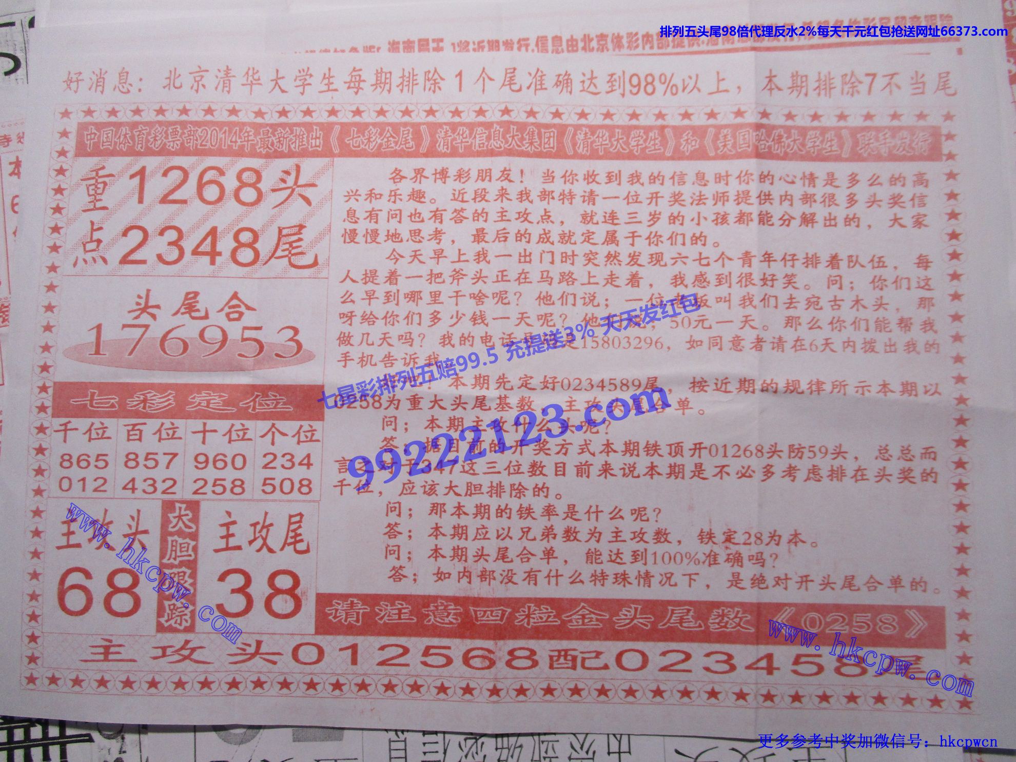 七彩金尾B.jpg