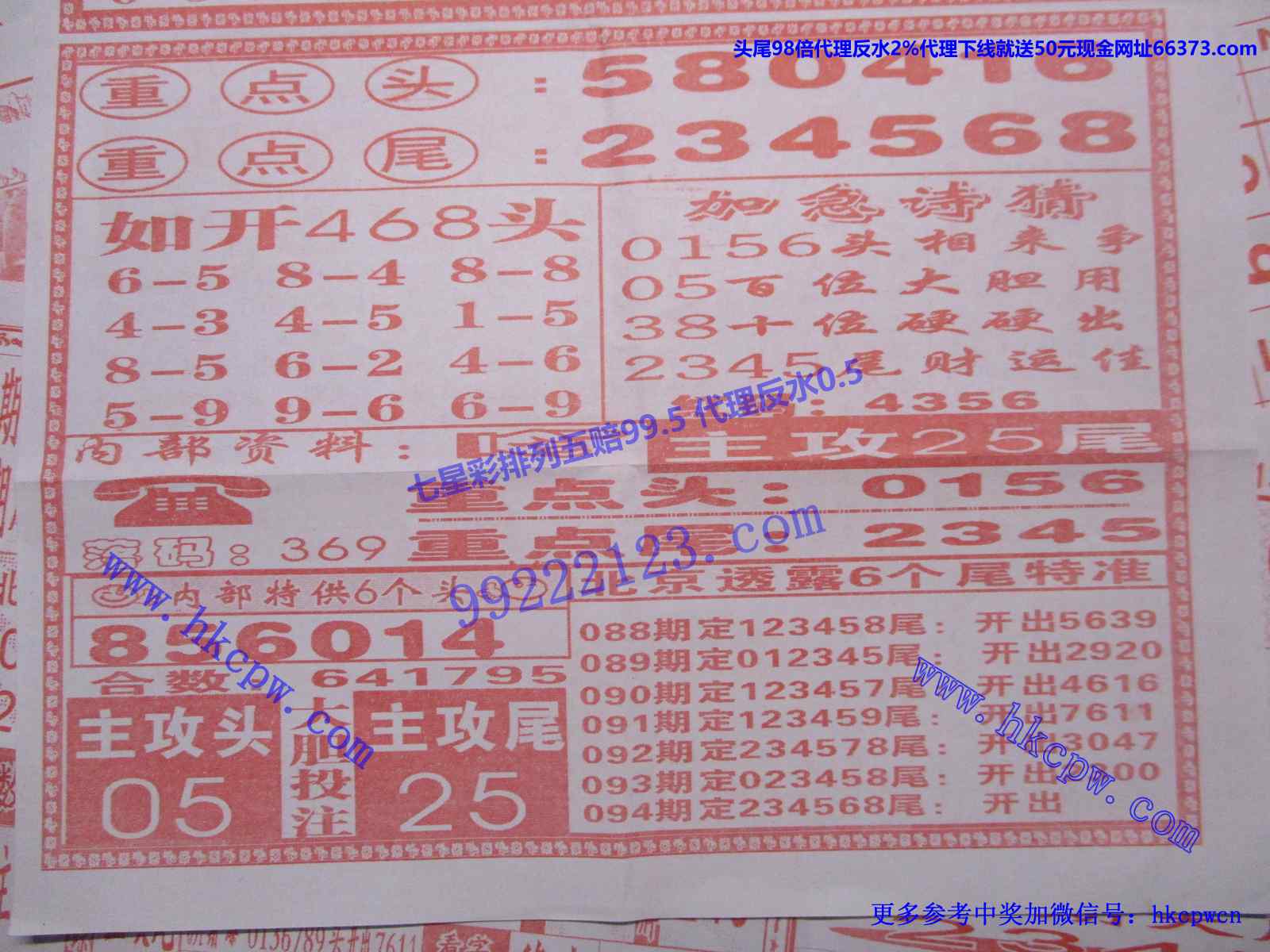 赶尾回家B.JPG