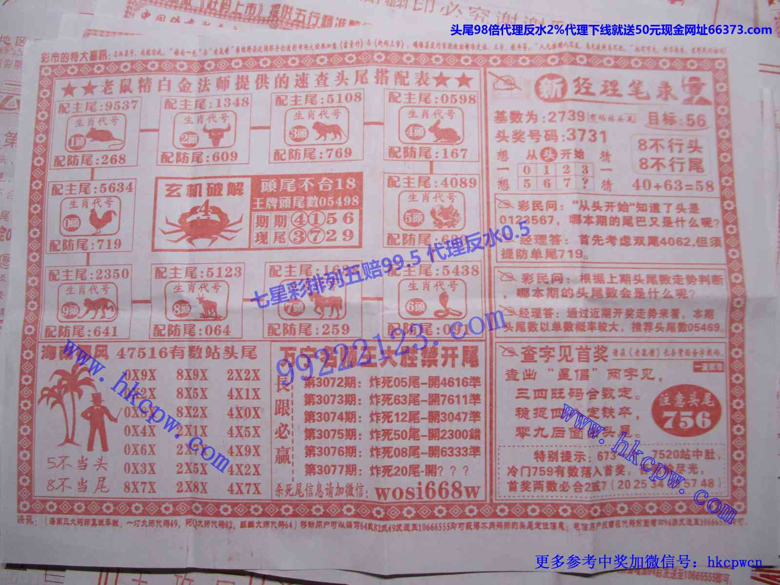 头尾我做主B.JPG
