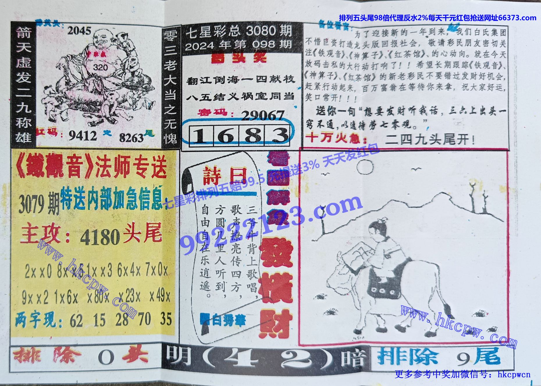 铁观音 (2).jpg