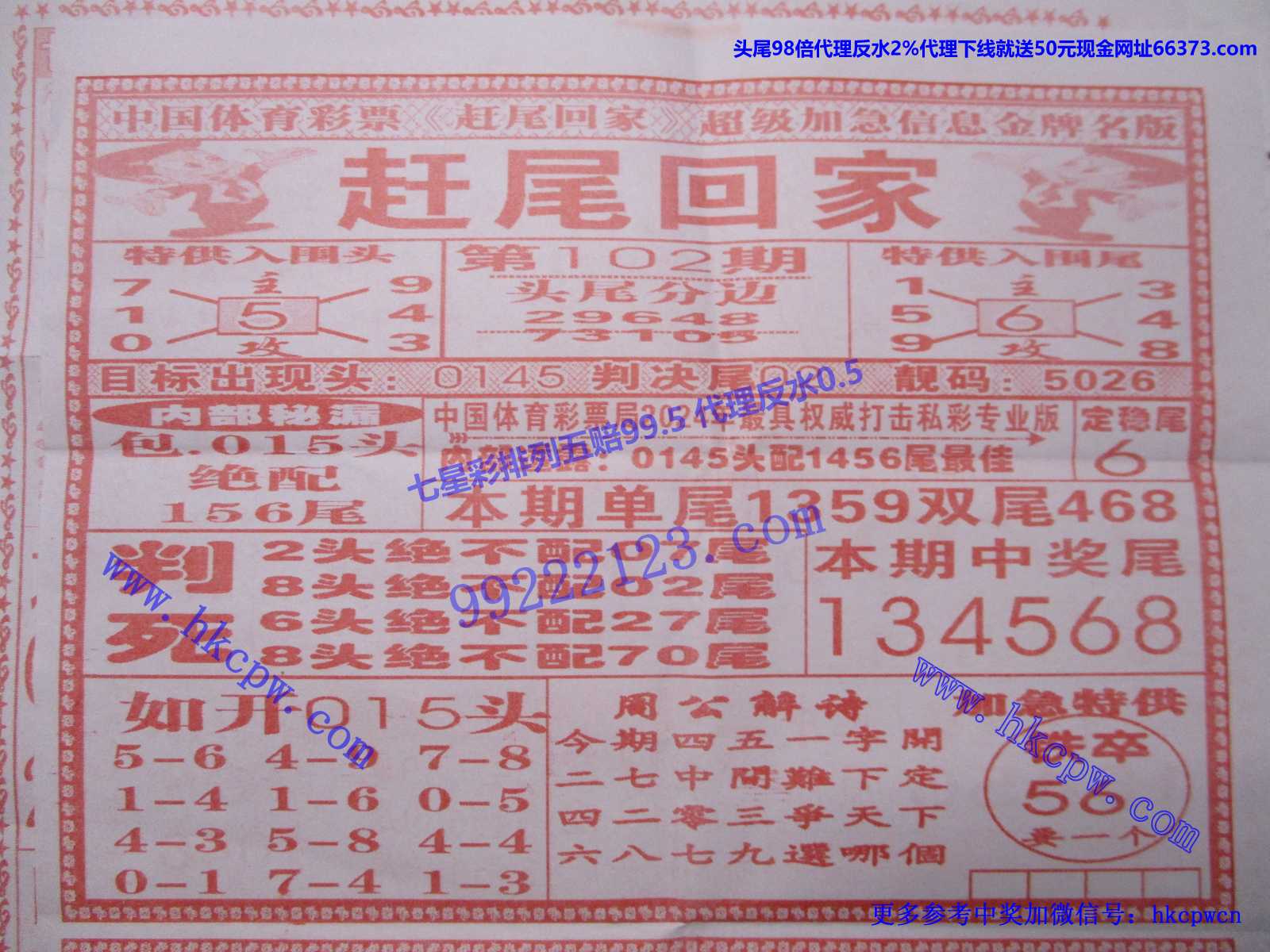 赶尾回家.JPG