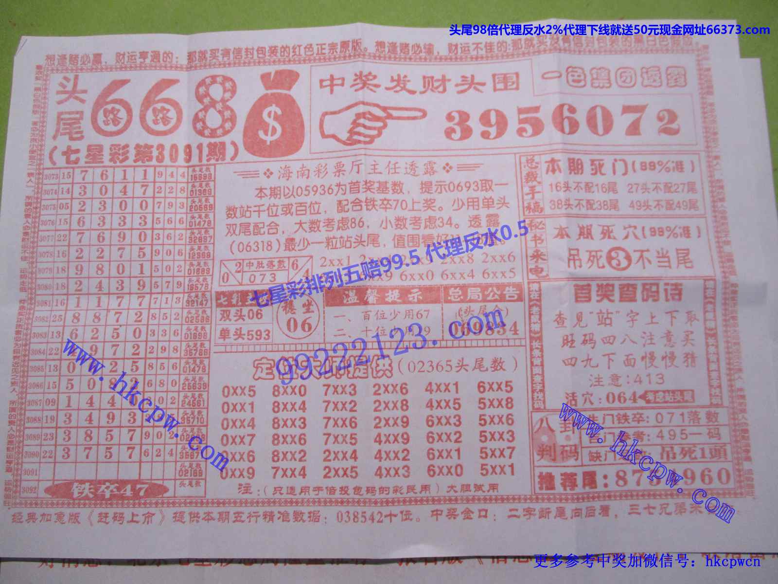 头尾668.JPG