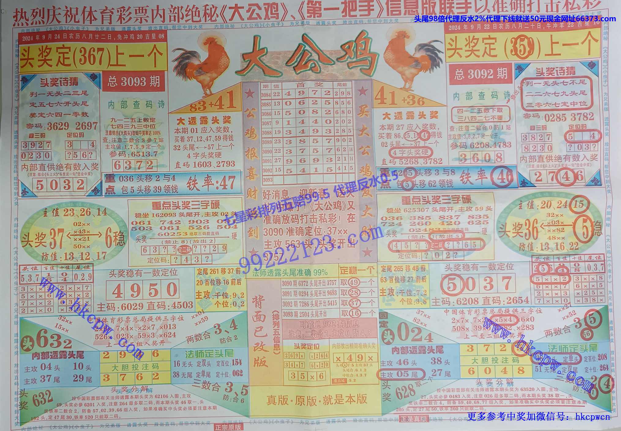 大公鸡.jpg