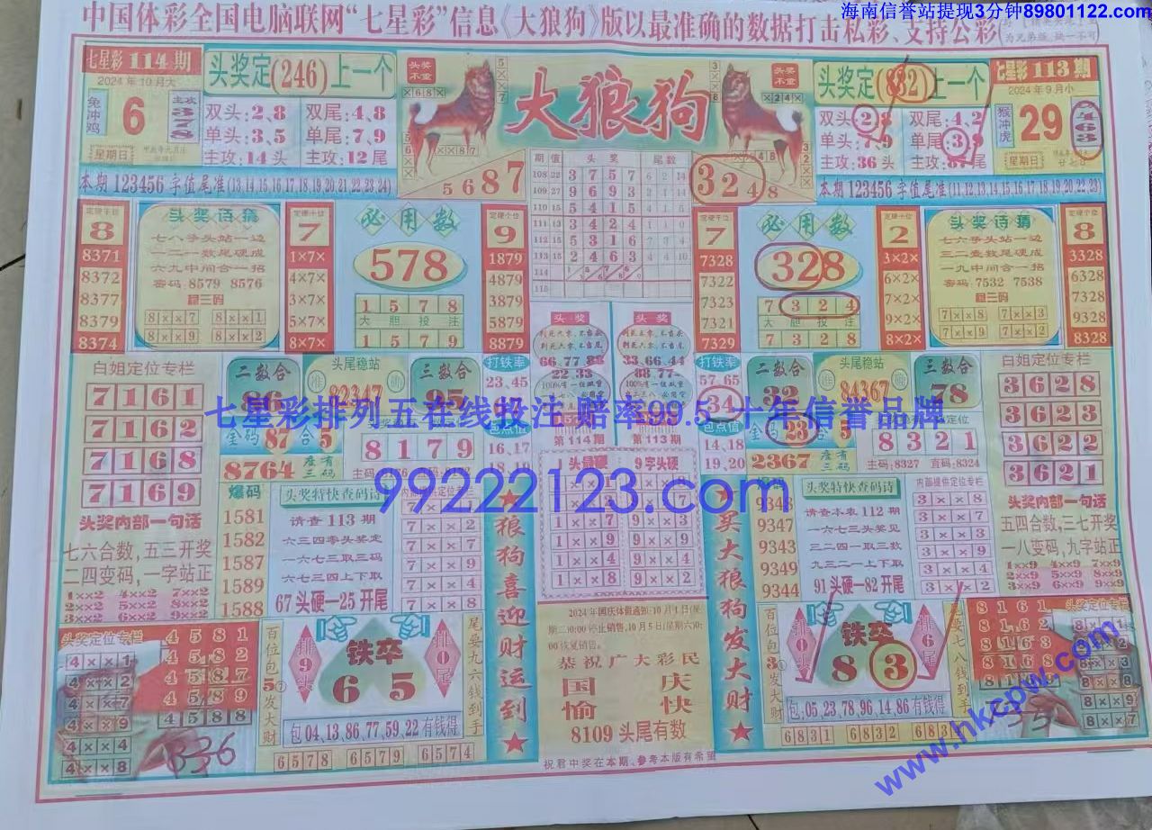 大狼狗 (1).jpg