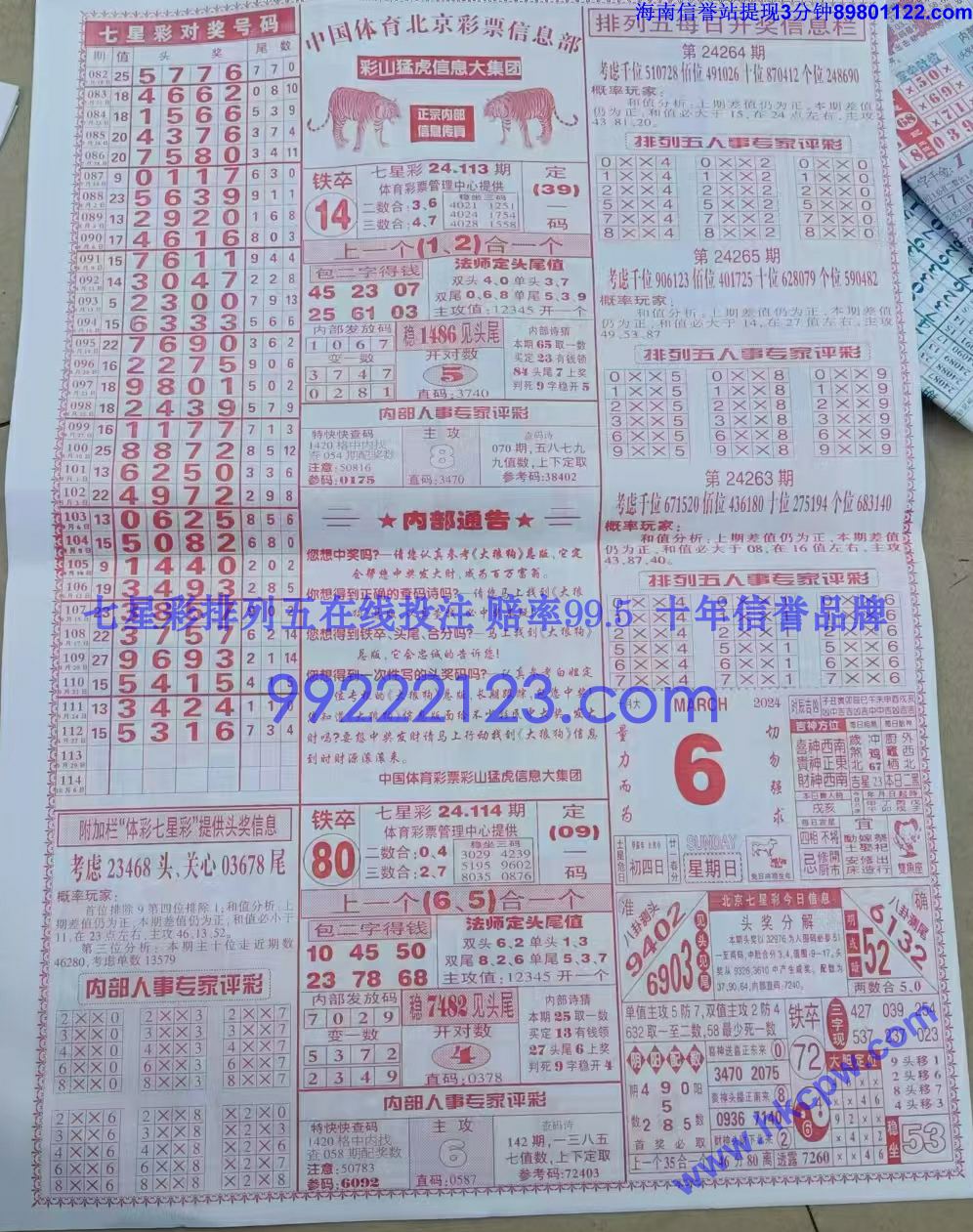 大狼狗 (2).jpg