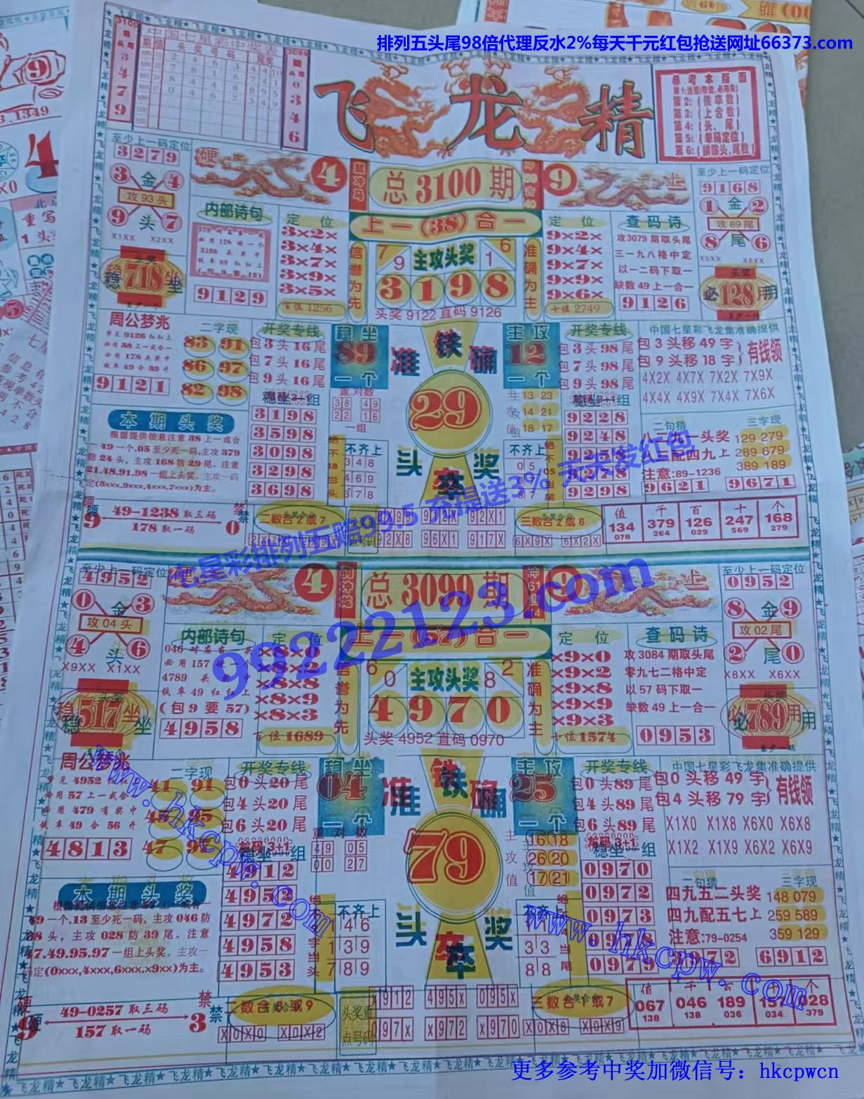 飞龙精.jpg