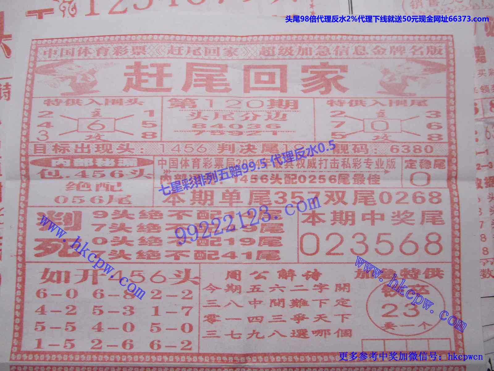 赶尾回家.JPG