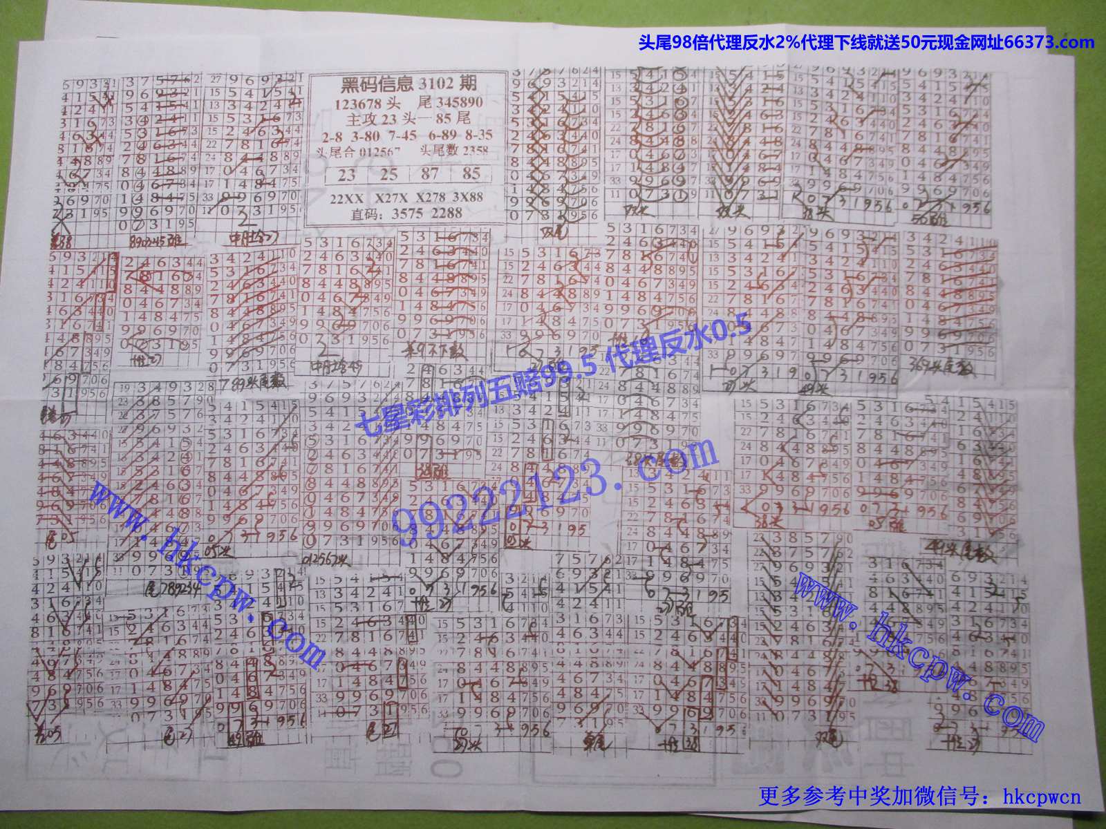 规律王B.JPG