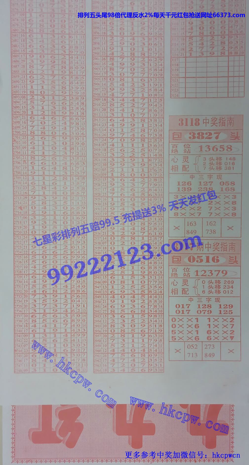 九九红 (2).jpg