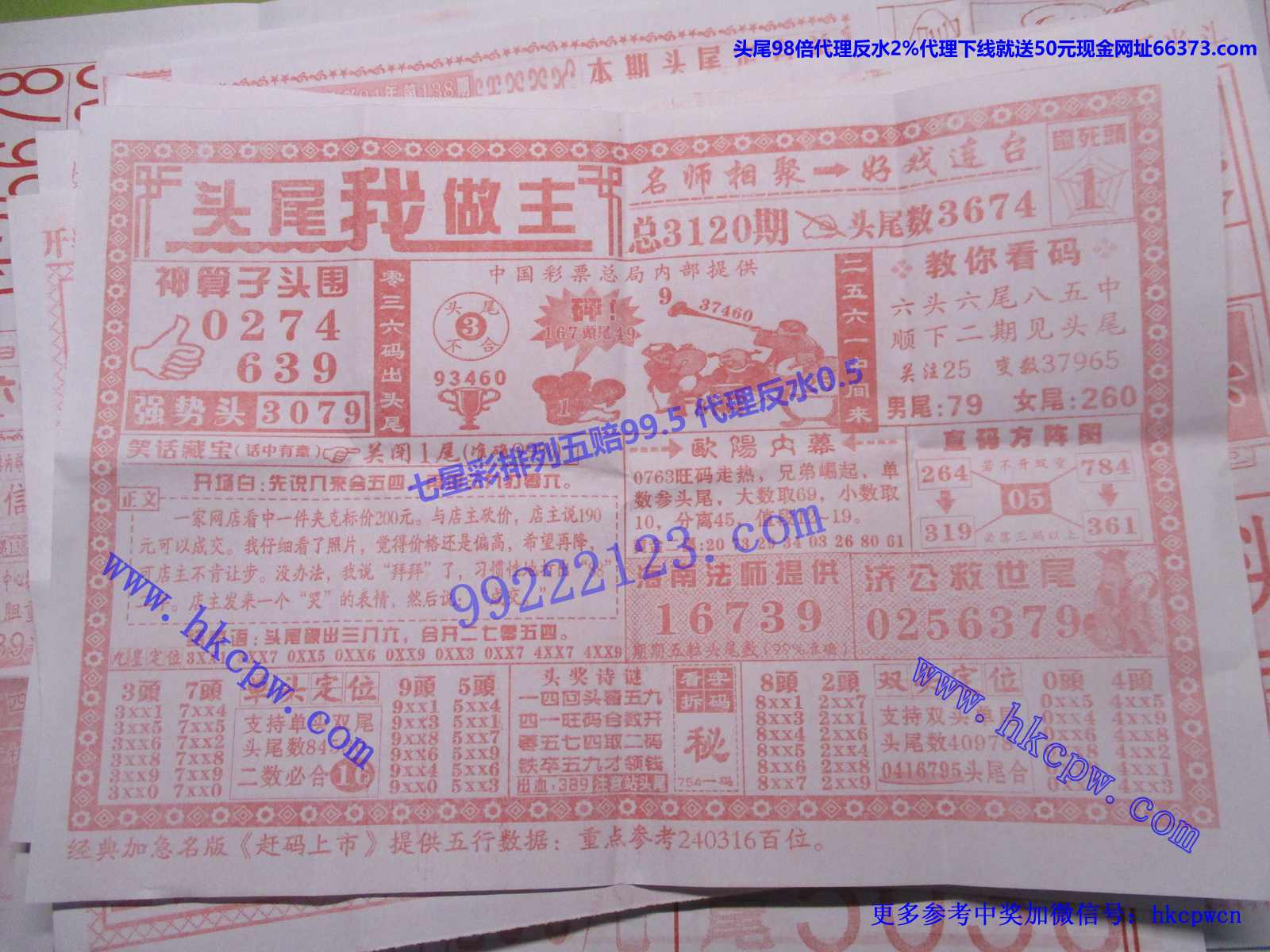头尾我做主.JPG