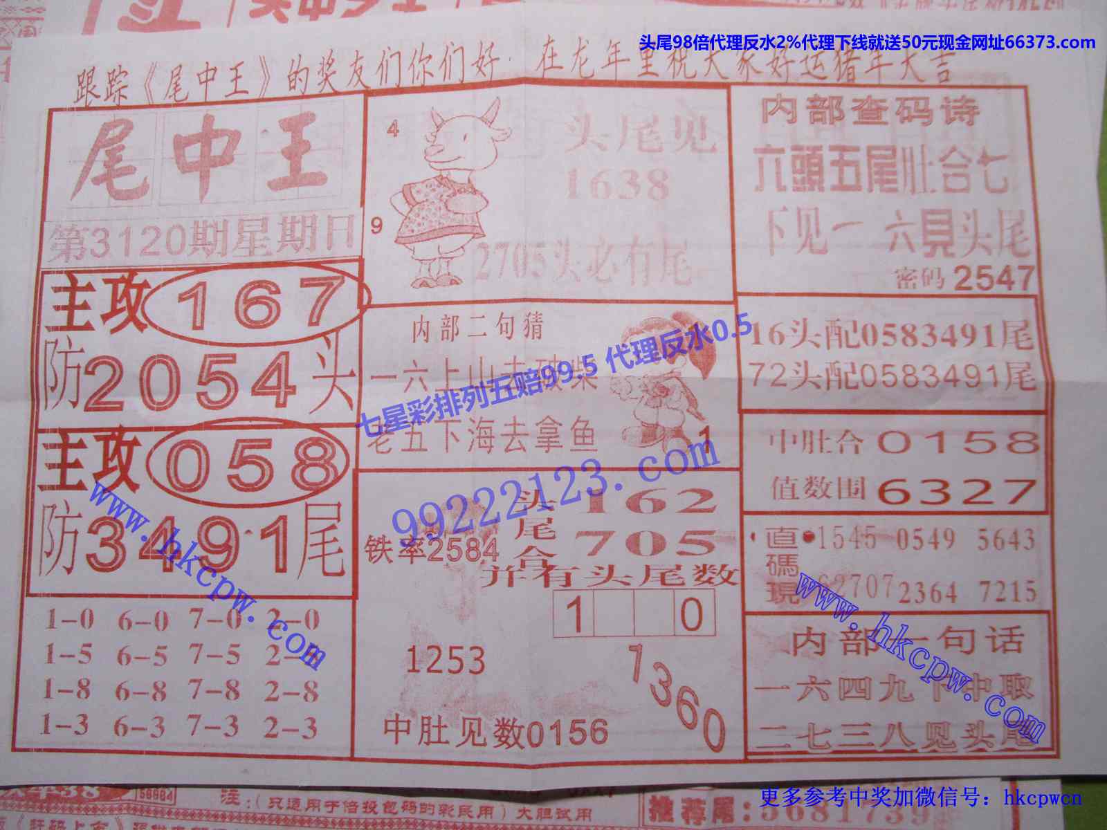 尾中王.JPG