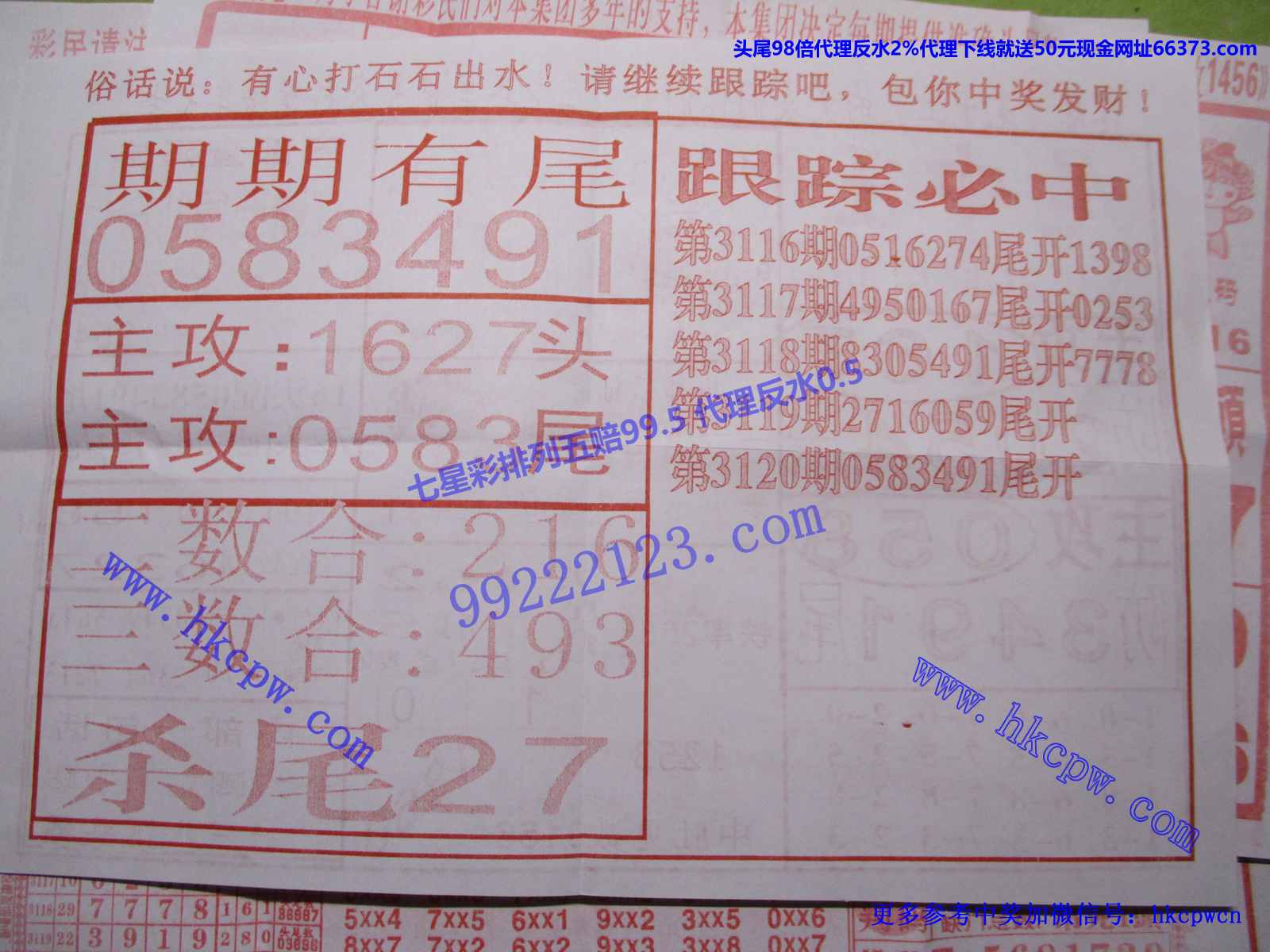 尾中王B.JPG