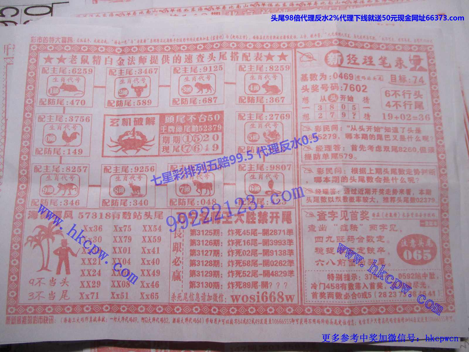 头尾我做主B.JPG