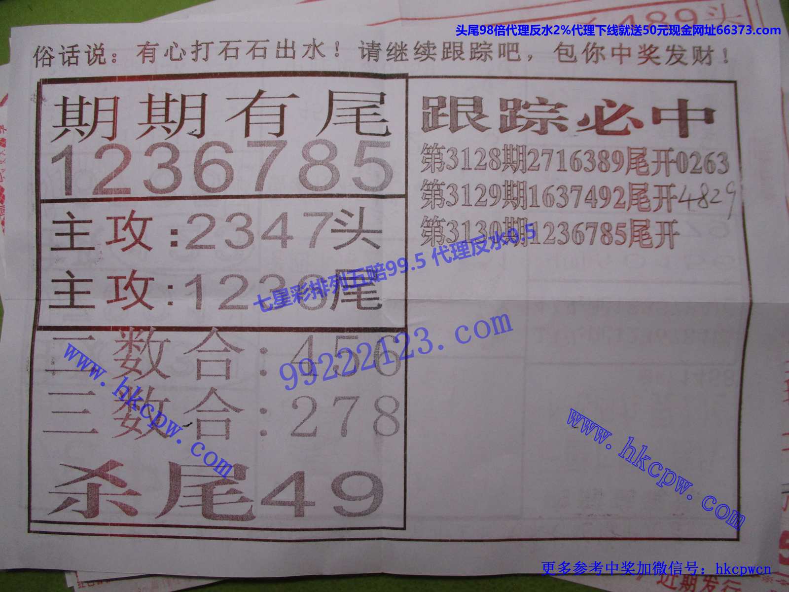 尾中王B.JPG