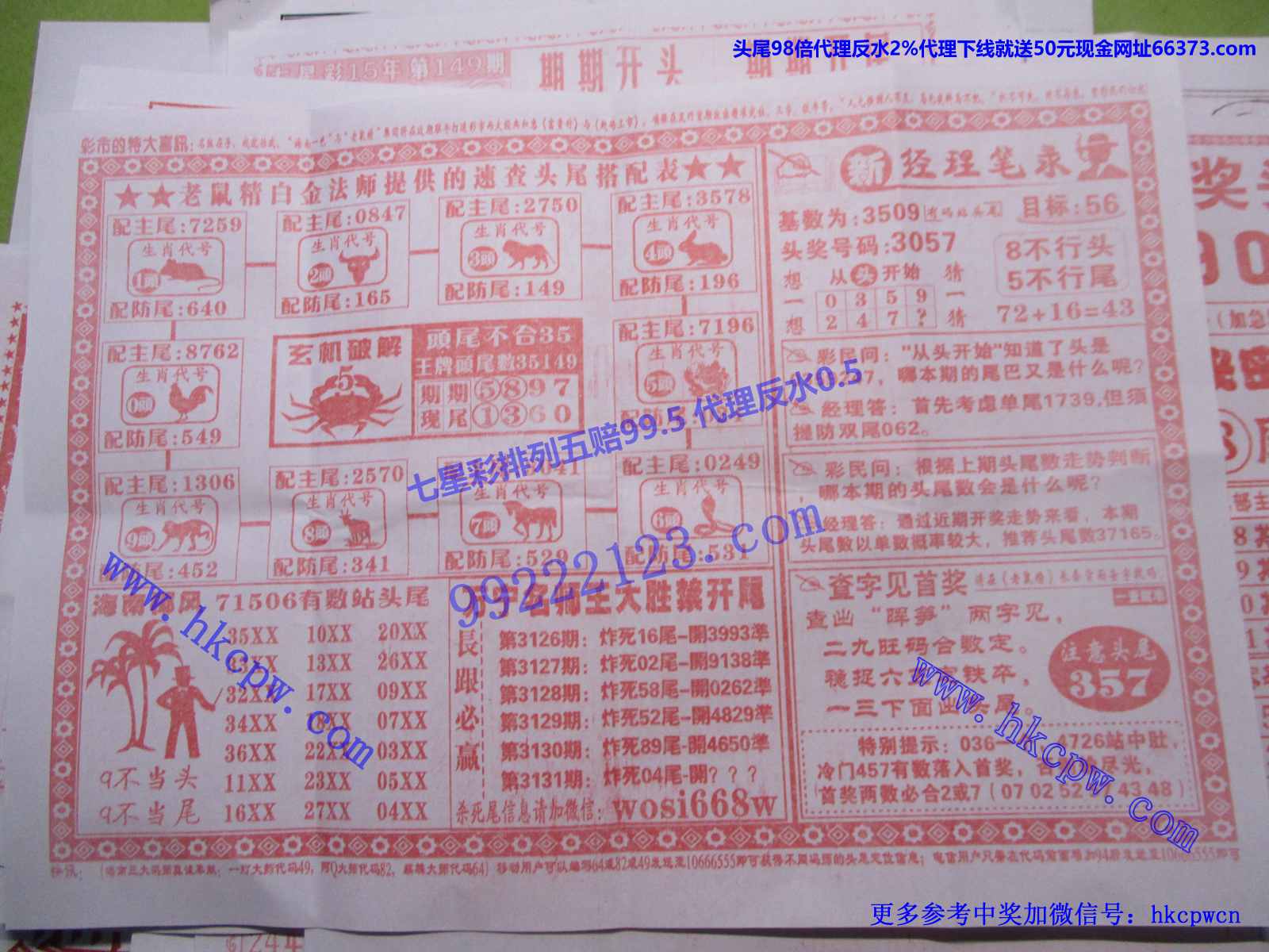 头尾我做主B.JPG