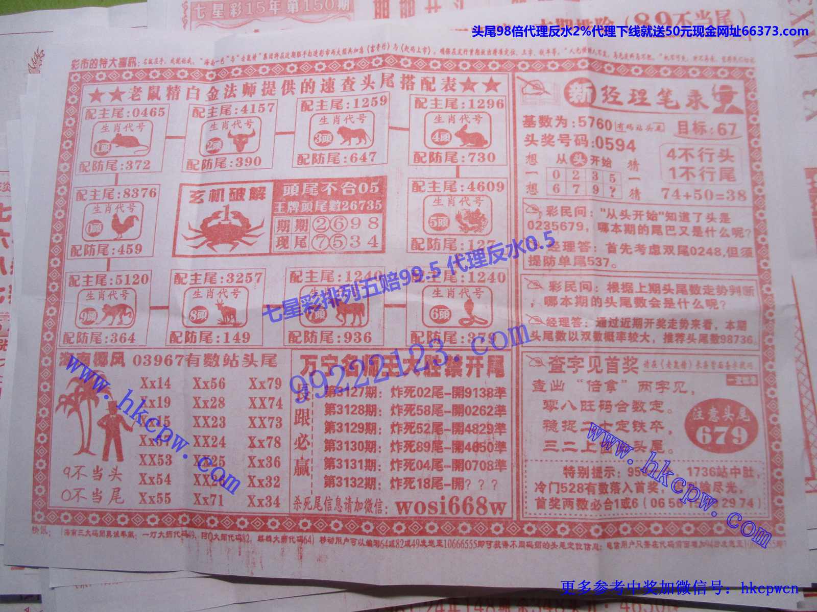 头尾我做主B.JPG