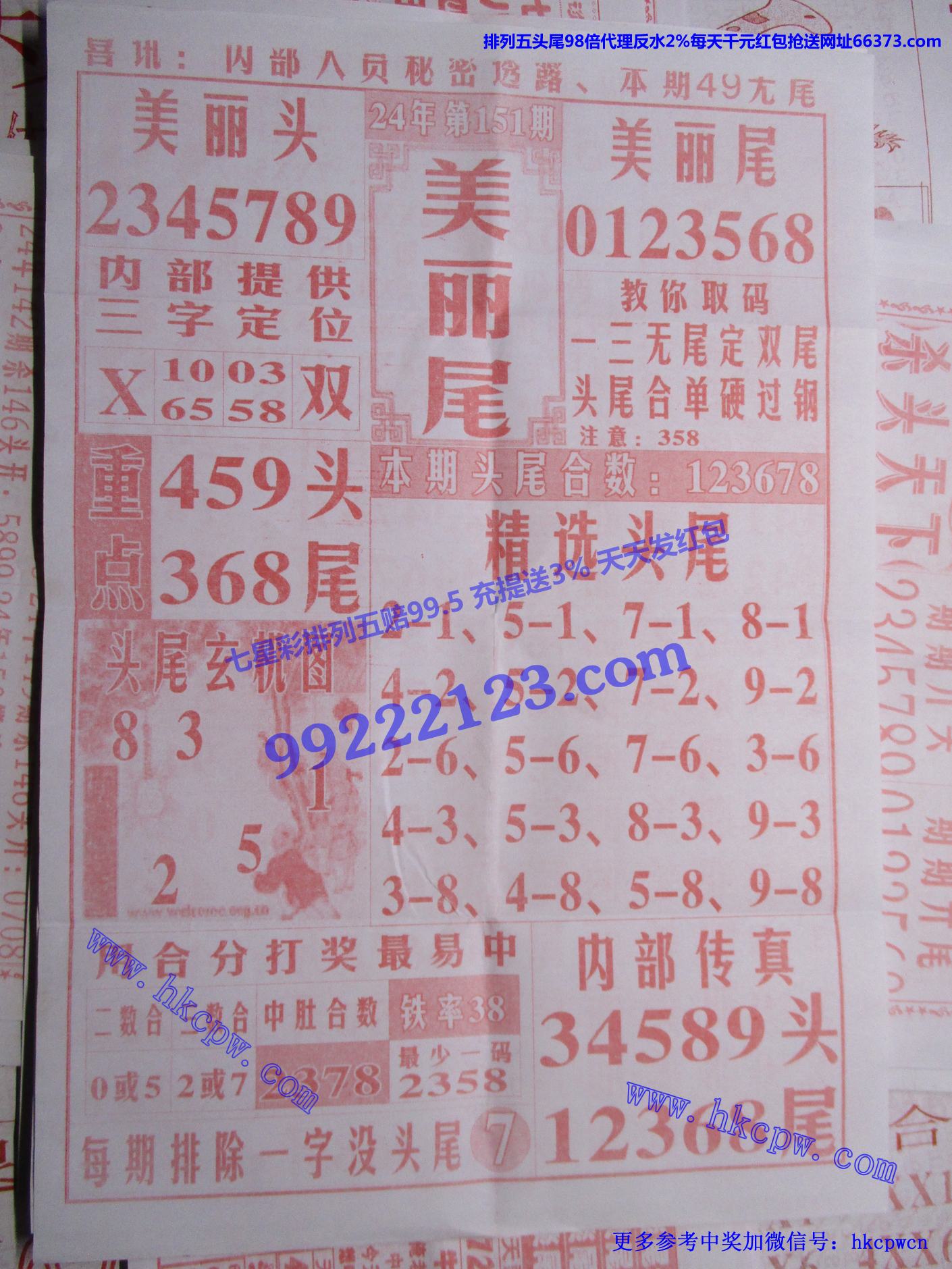 美丽尾.jpg