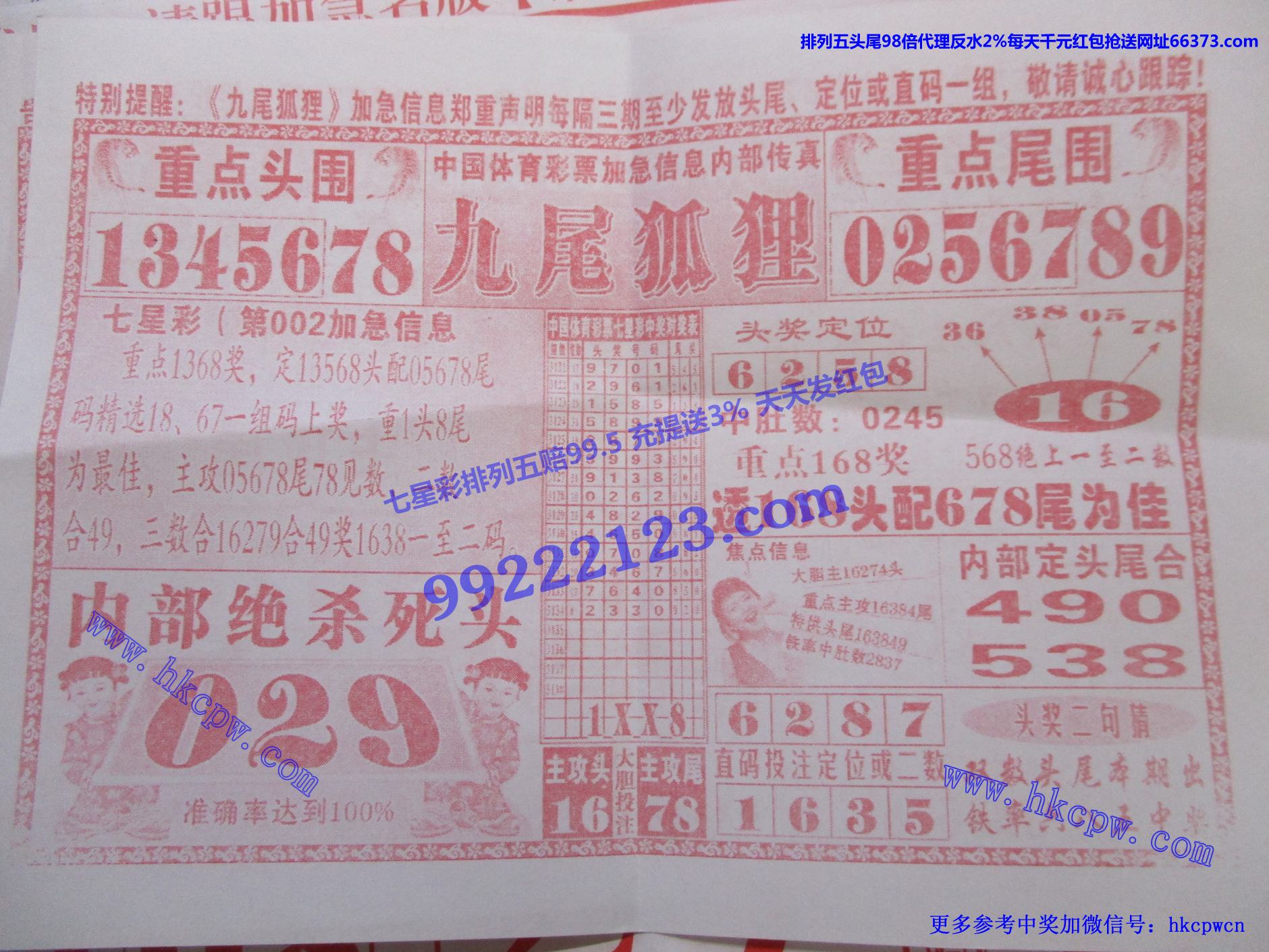 九尾狐狸.jpg