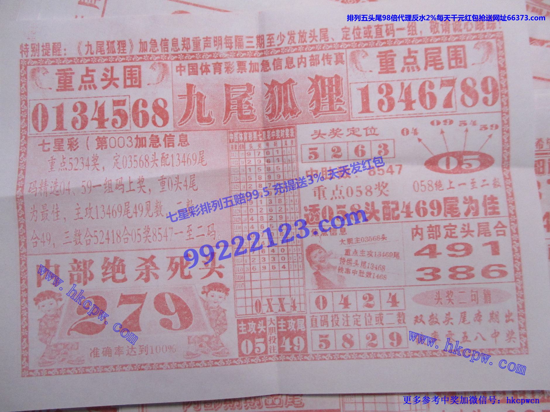 九尾狐狸.jpg