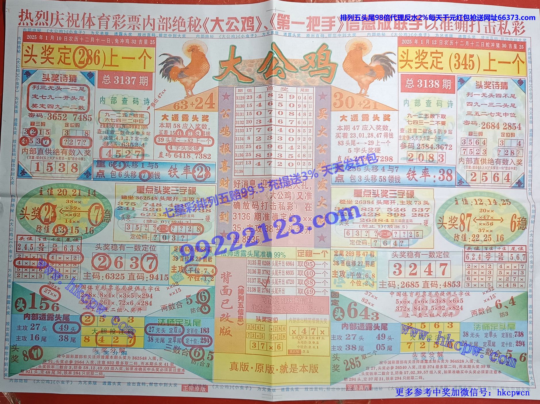 大公鸡.jpg