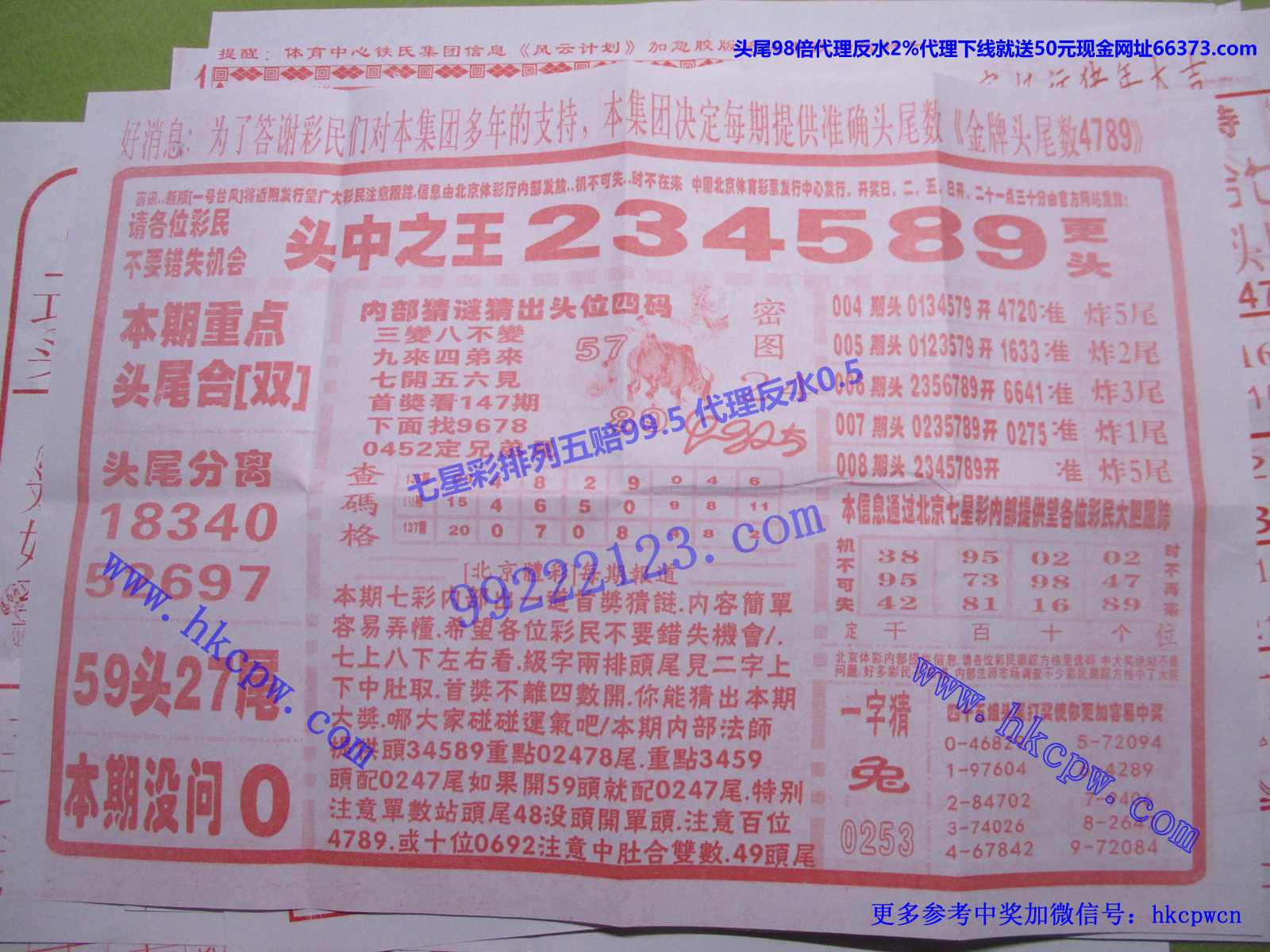 头中王B.JPG